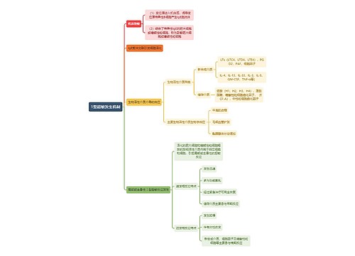 医学知识1型超敏发生机制思维导图