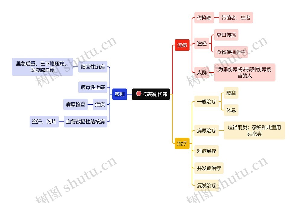 医学知识伤寒副伤寒思维导图_编号t6233147-TreeMind树图