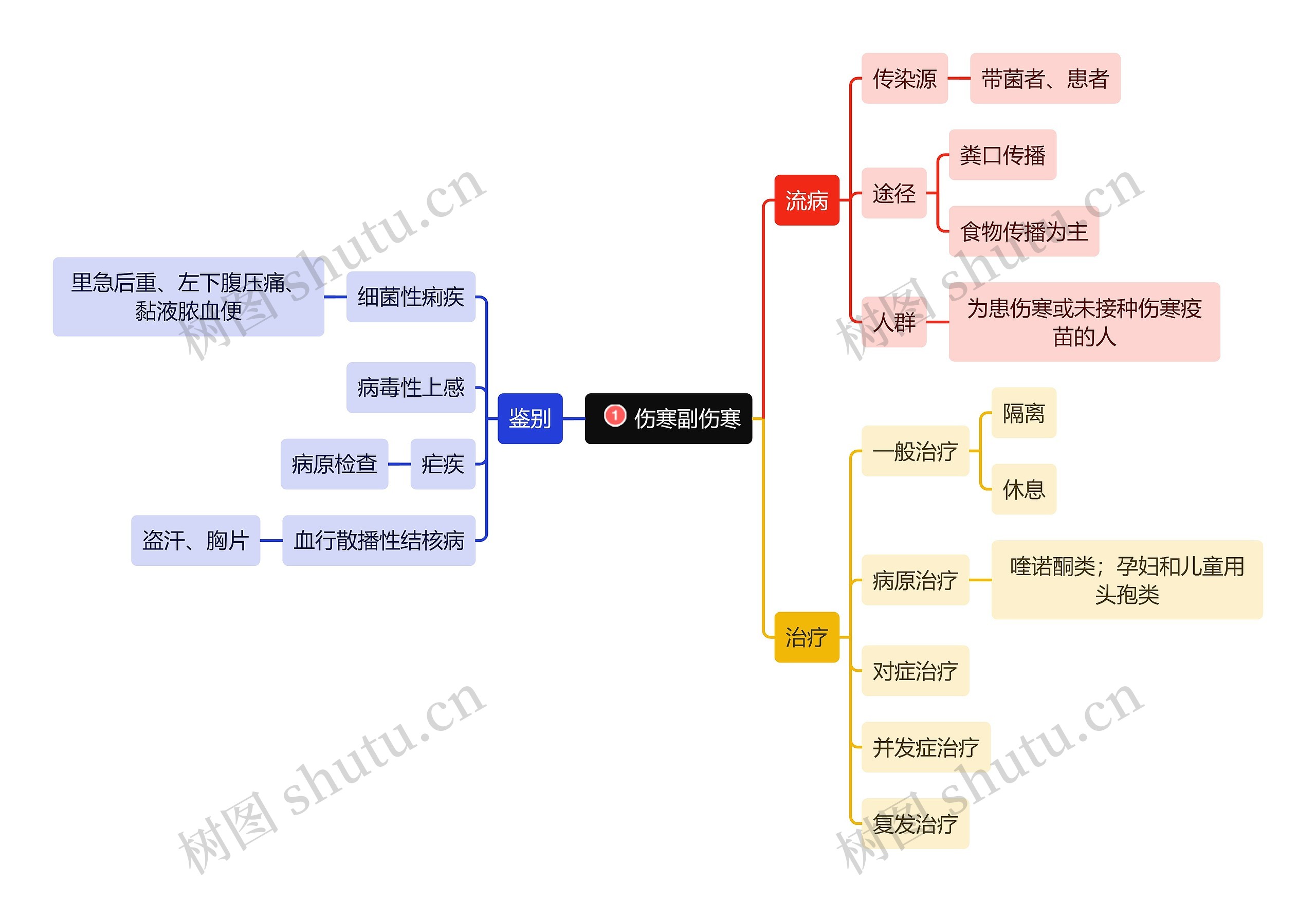 医学知识伤寒副伤寒思维导图