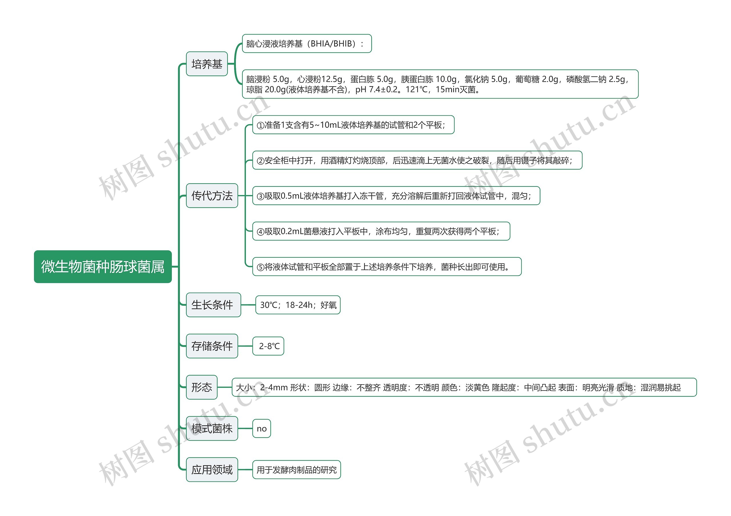 微生物菌种肠球菌属思维导图