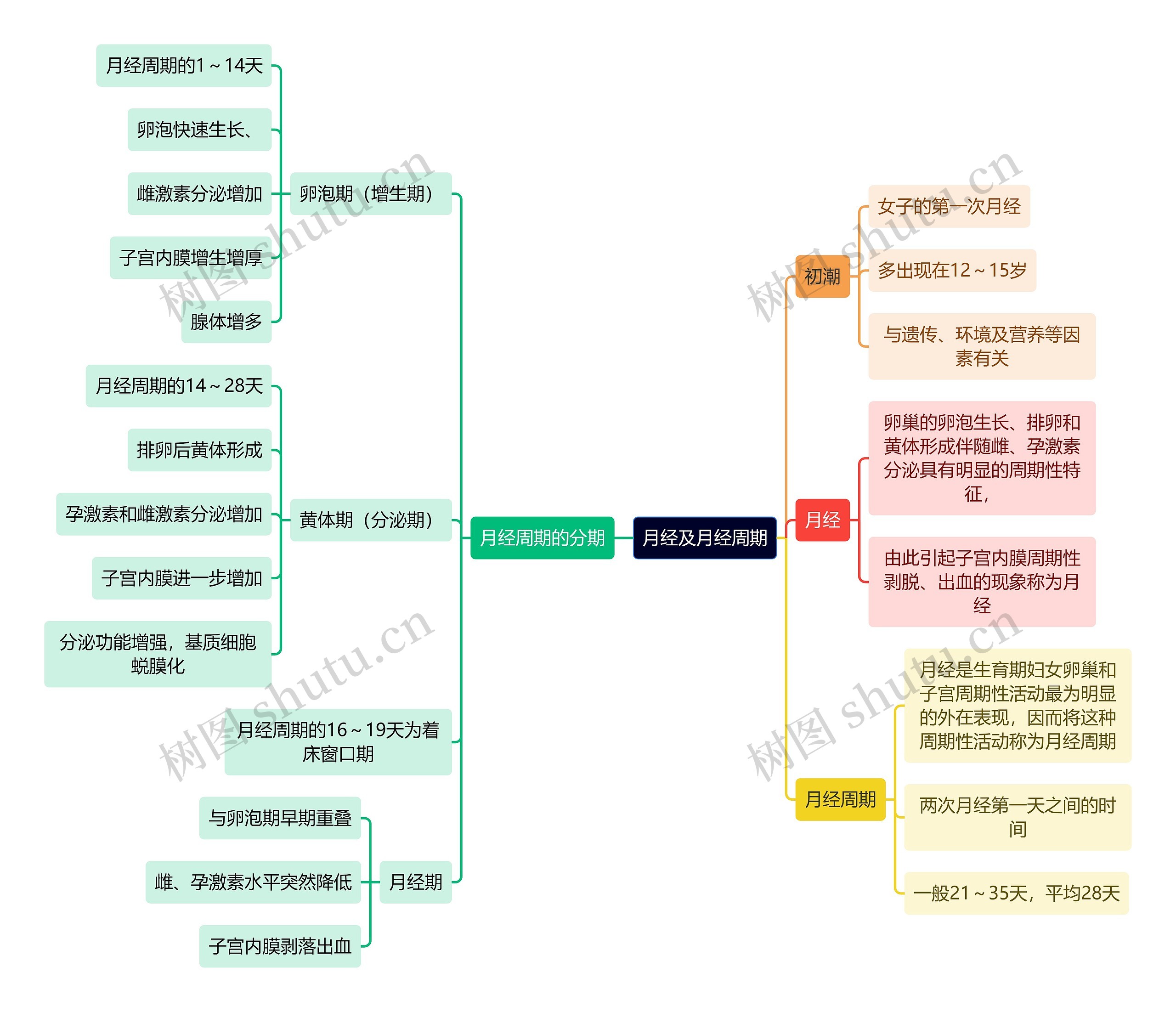 医学知识月经及月经周期思维导图