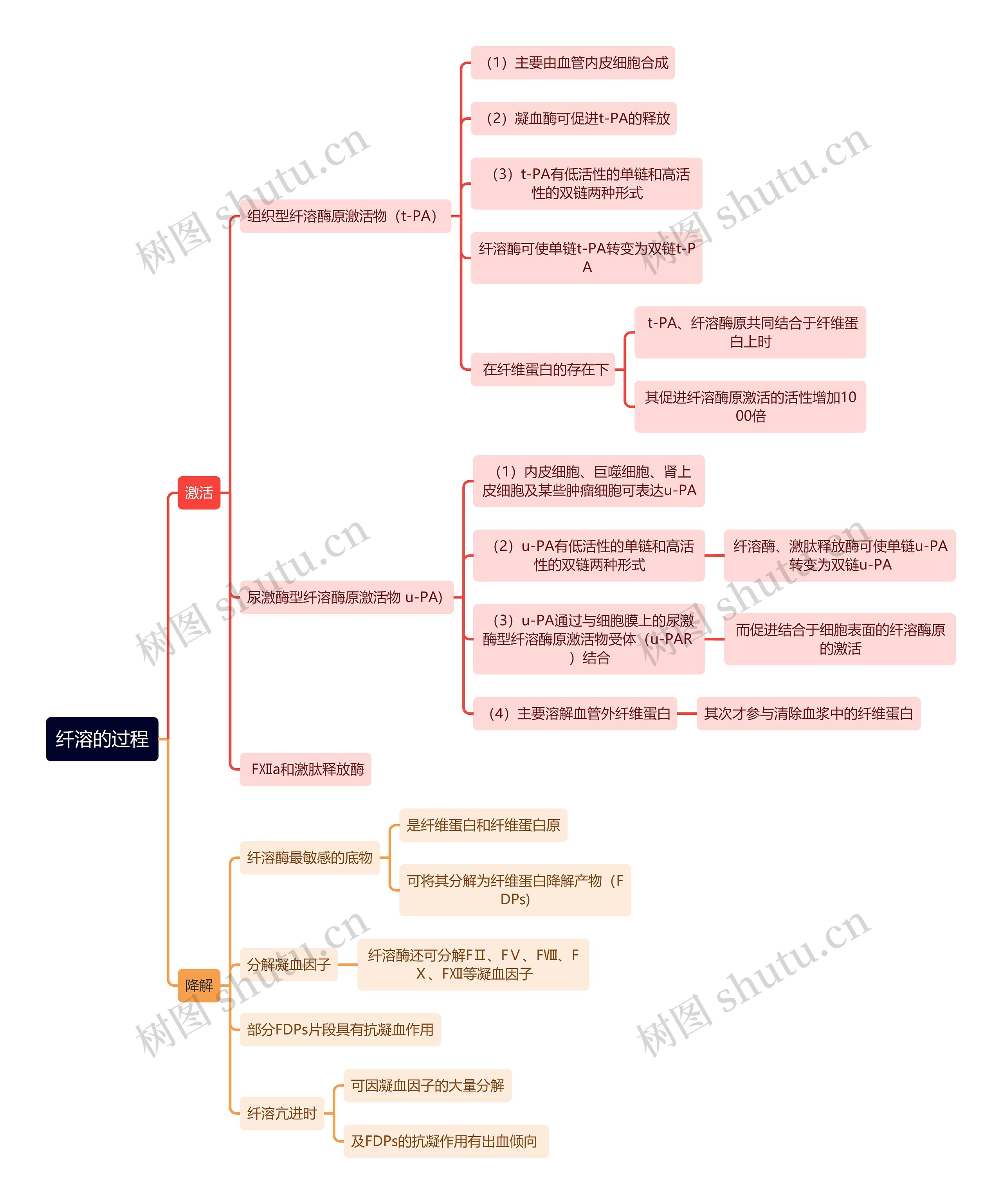 医学知识纤溶的过程思维导图