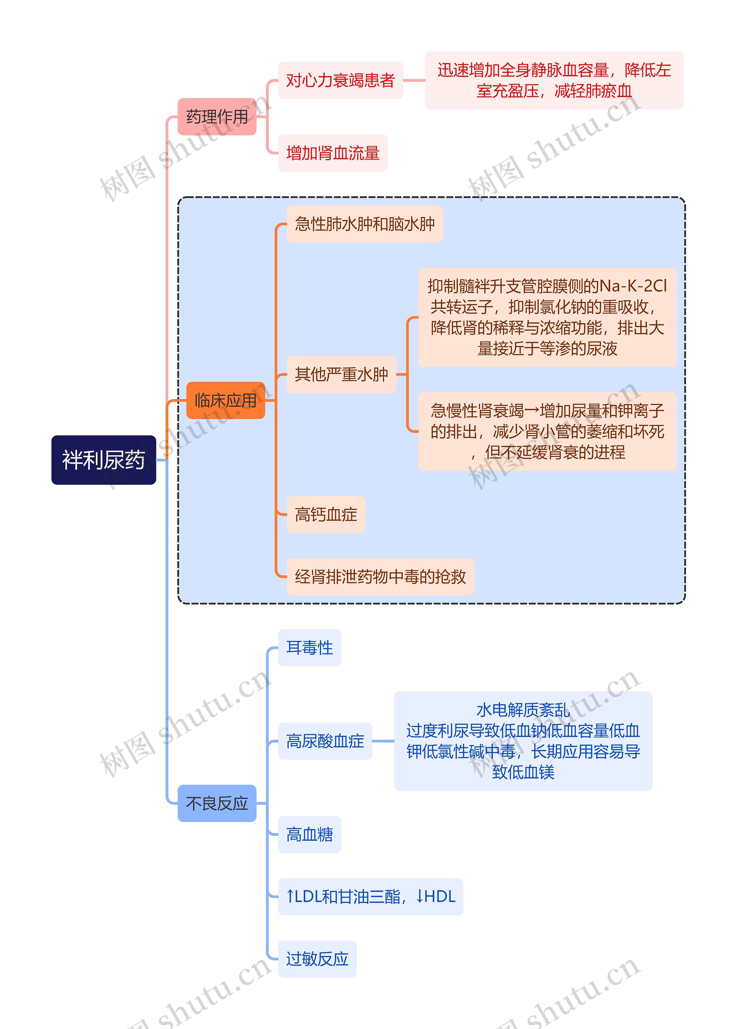 医学袢利尿药思维导图