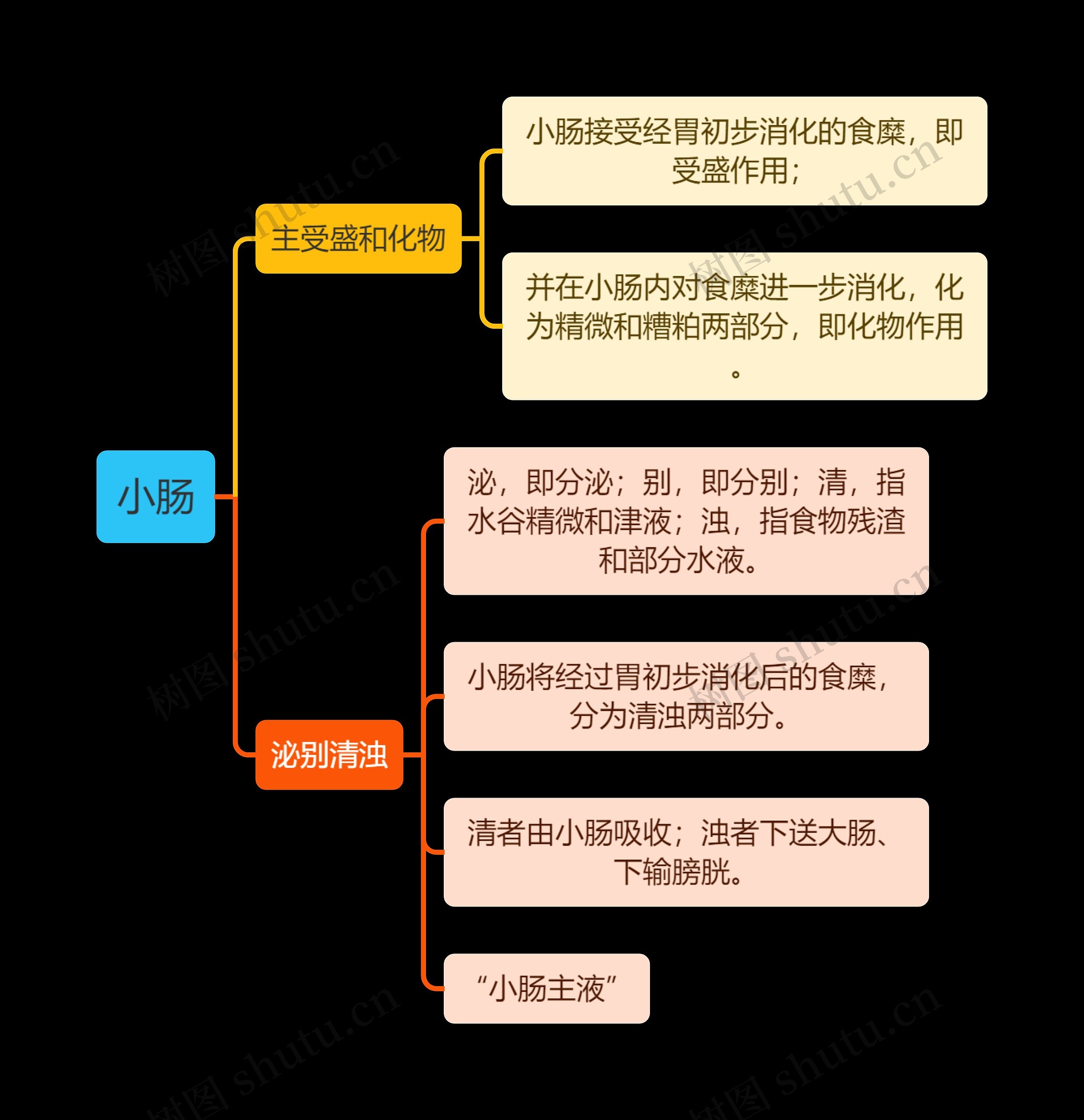 中医知识小肠思维导图