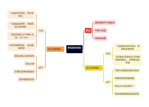 医学知识葡萄胎的病理思维导图