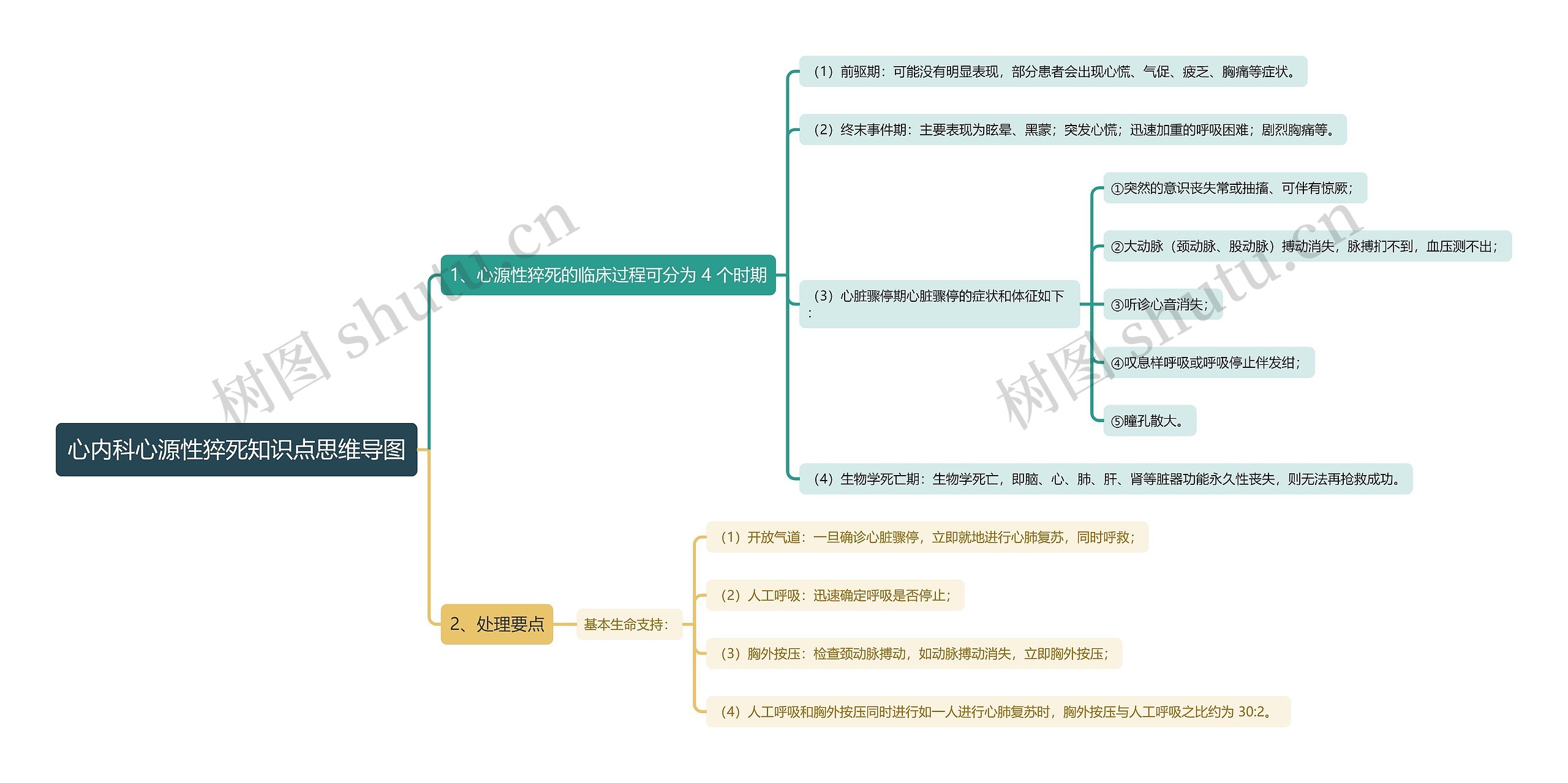 心内科心源性猝死知识点思维导图