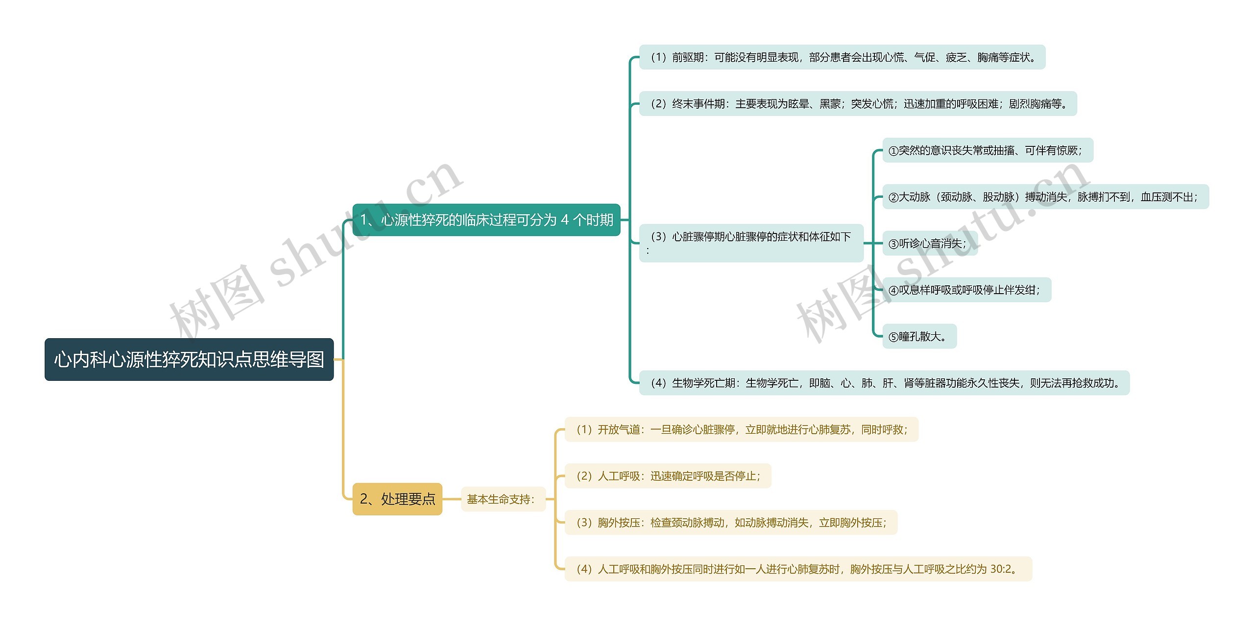 心内科心源性猝死知识点思维导图高清图 心内科心源性猝死知识点思维导图