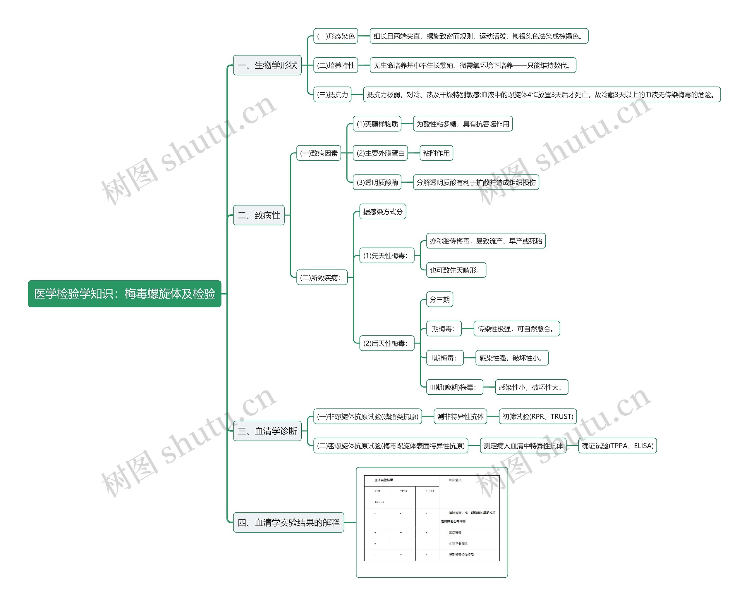医学检验学知识：梅毒螺旋体及检验思维导图