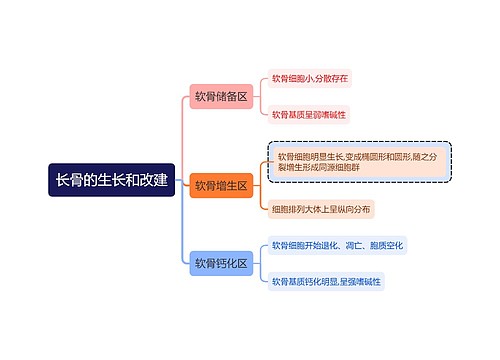 医学知识长骨的生长和改建思维导图