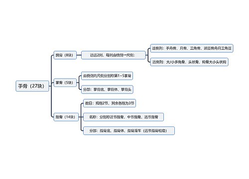 手骨（27块）思维导图思维导图