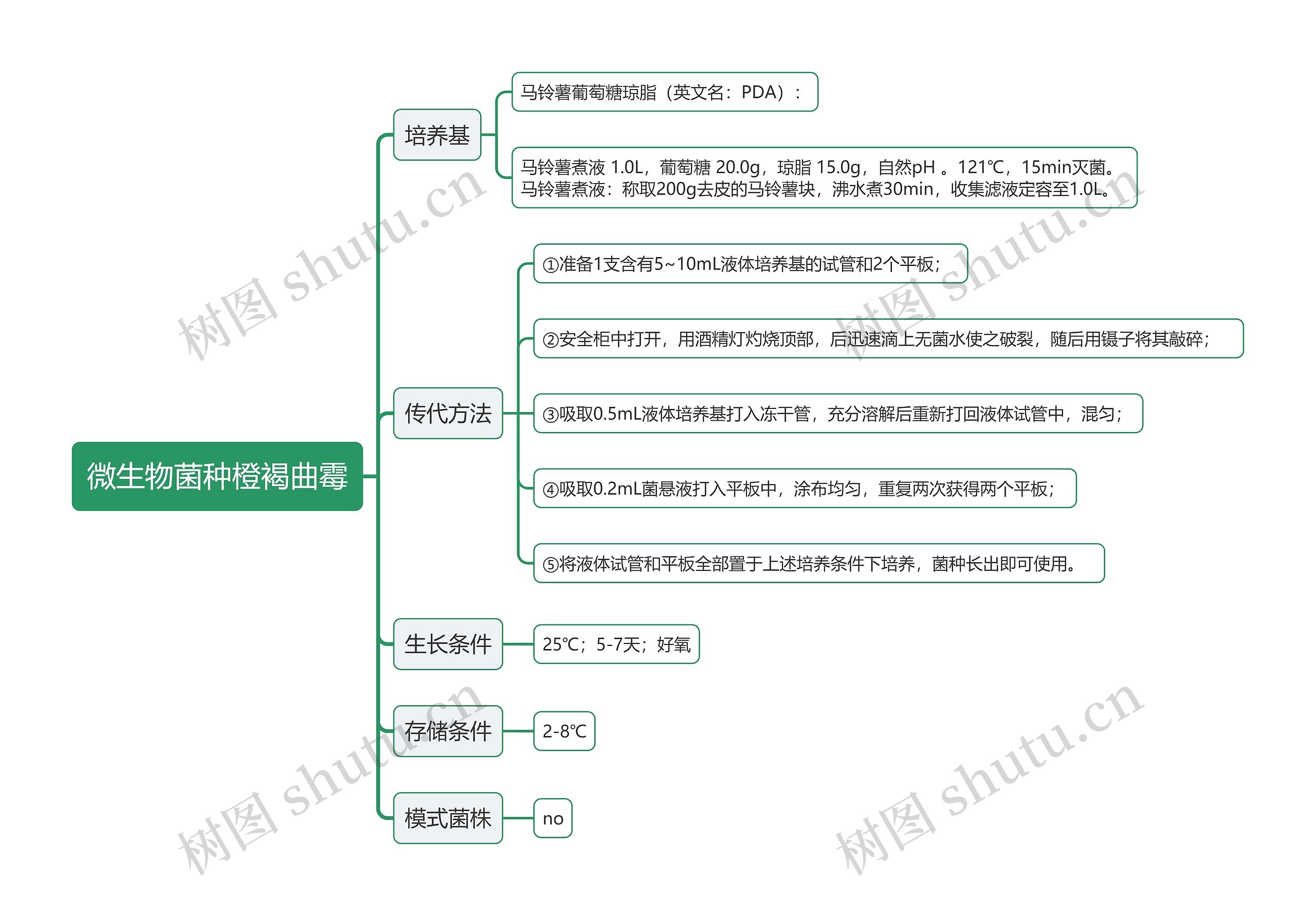 微生物菌种橙褐曲霉思维导图