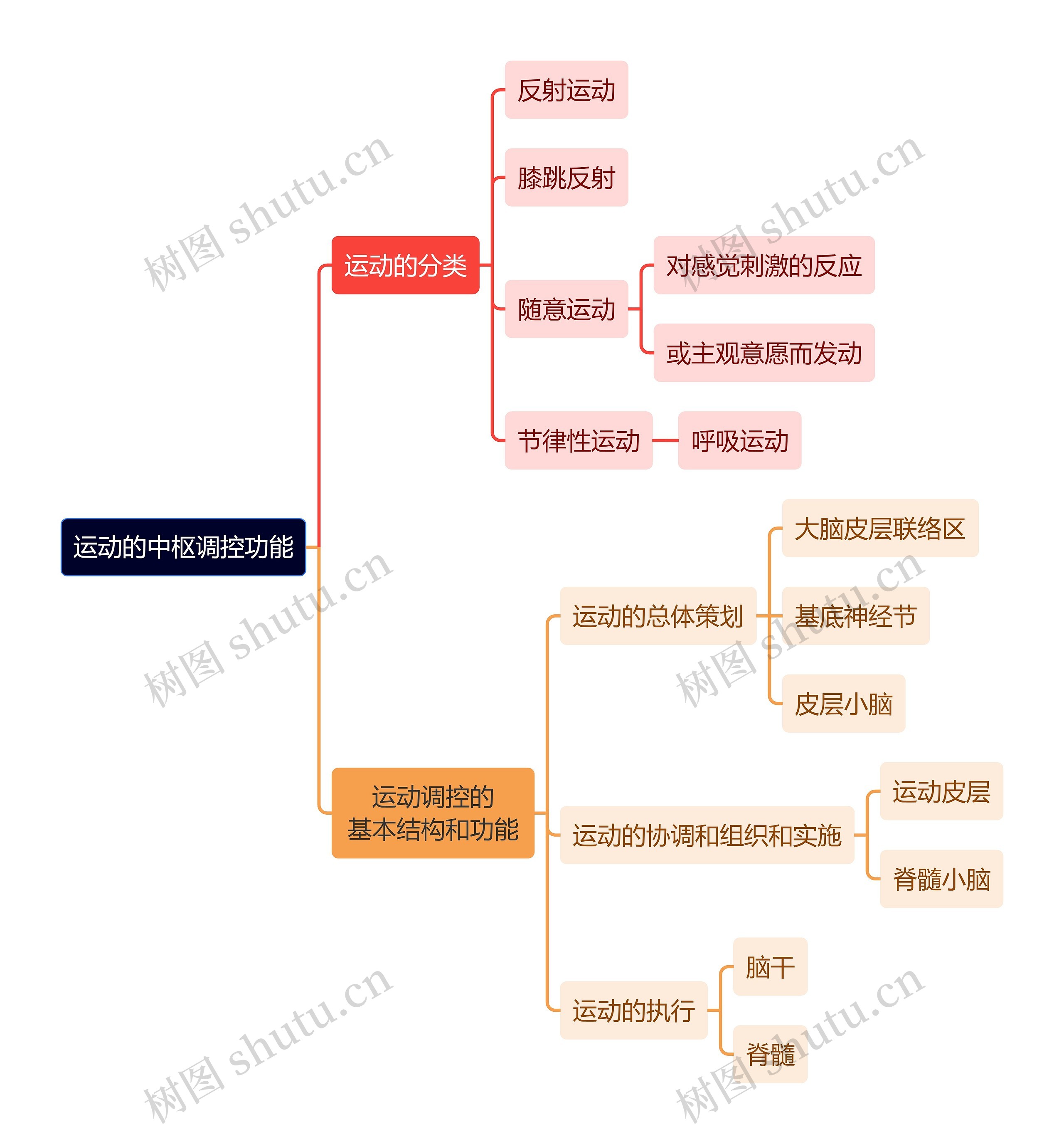 医学知识运动的中枢调控功能思维导图