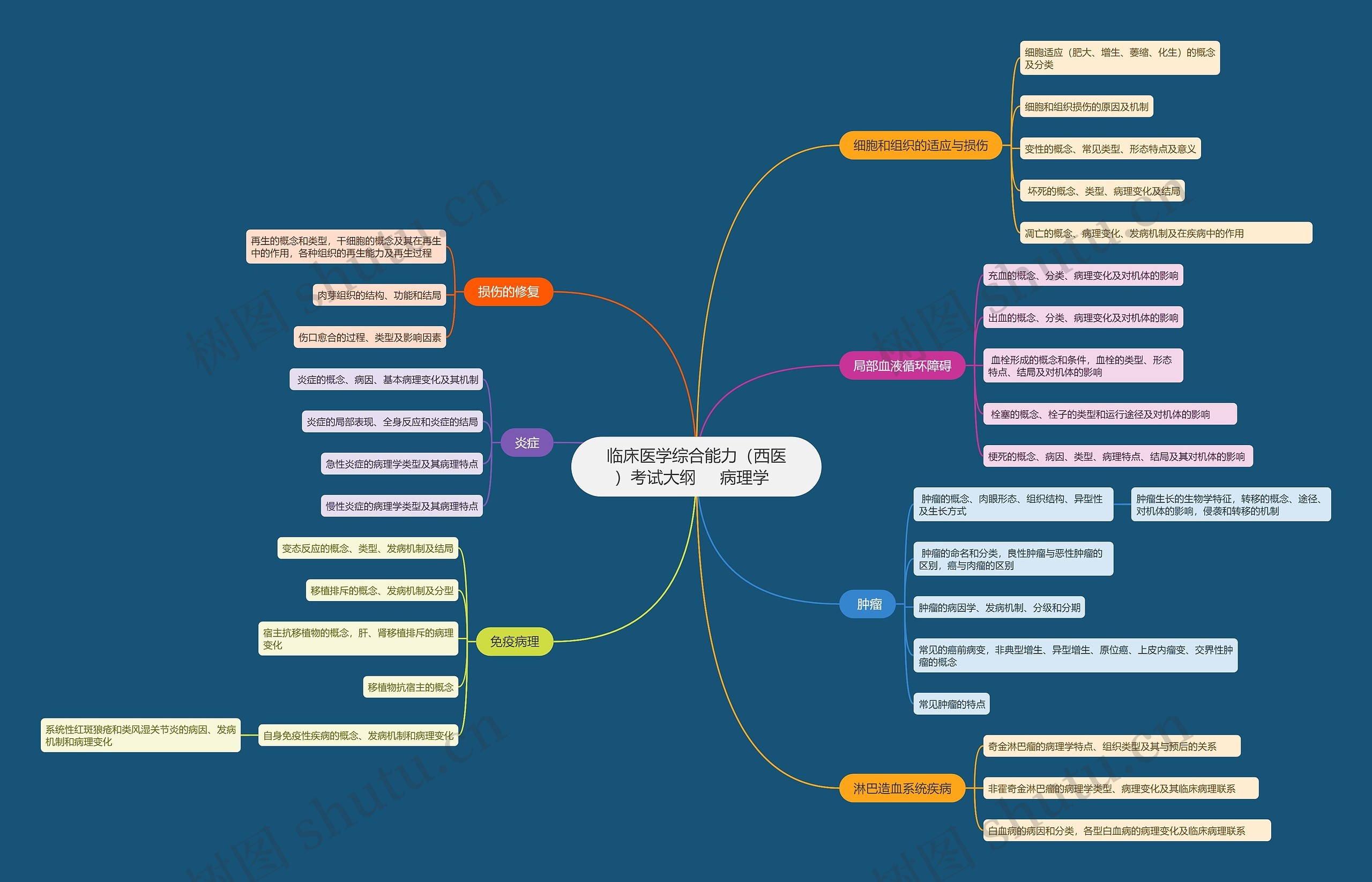 临床医学综合能力（西医）考试大纲     病理学  思维导图