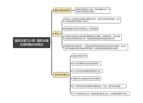 国际法复习大纲  国际法基本原则概念和特征