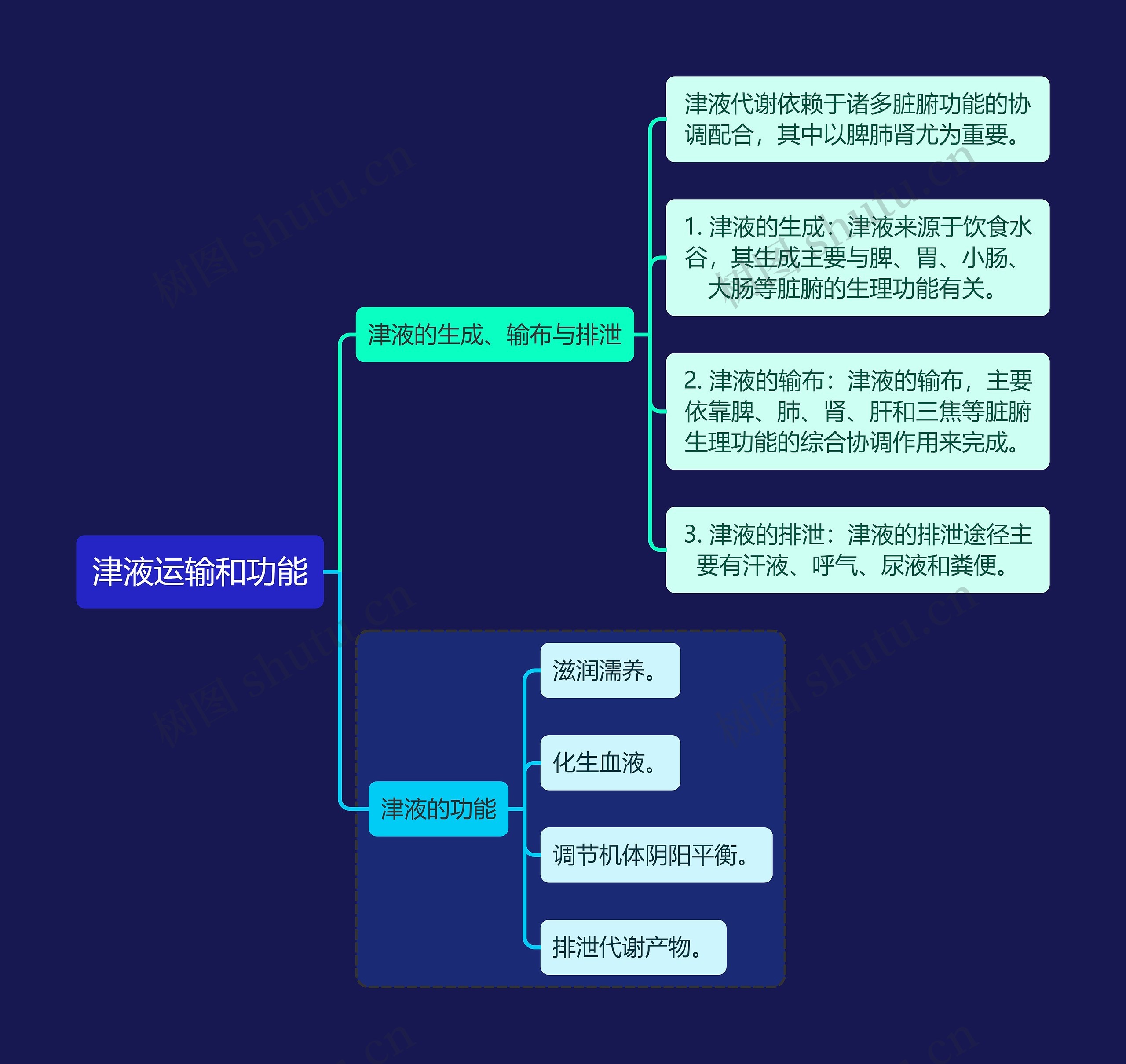 中医知识津液运输和功能思维导图