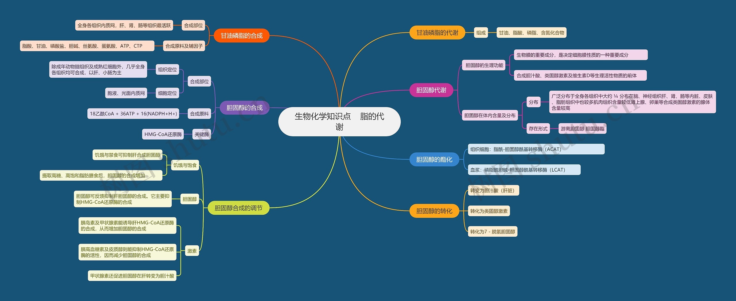 生物化学知识点    脂的代谢思维导图