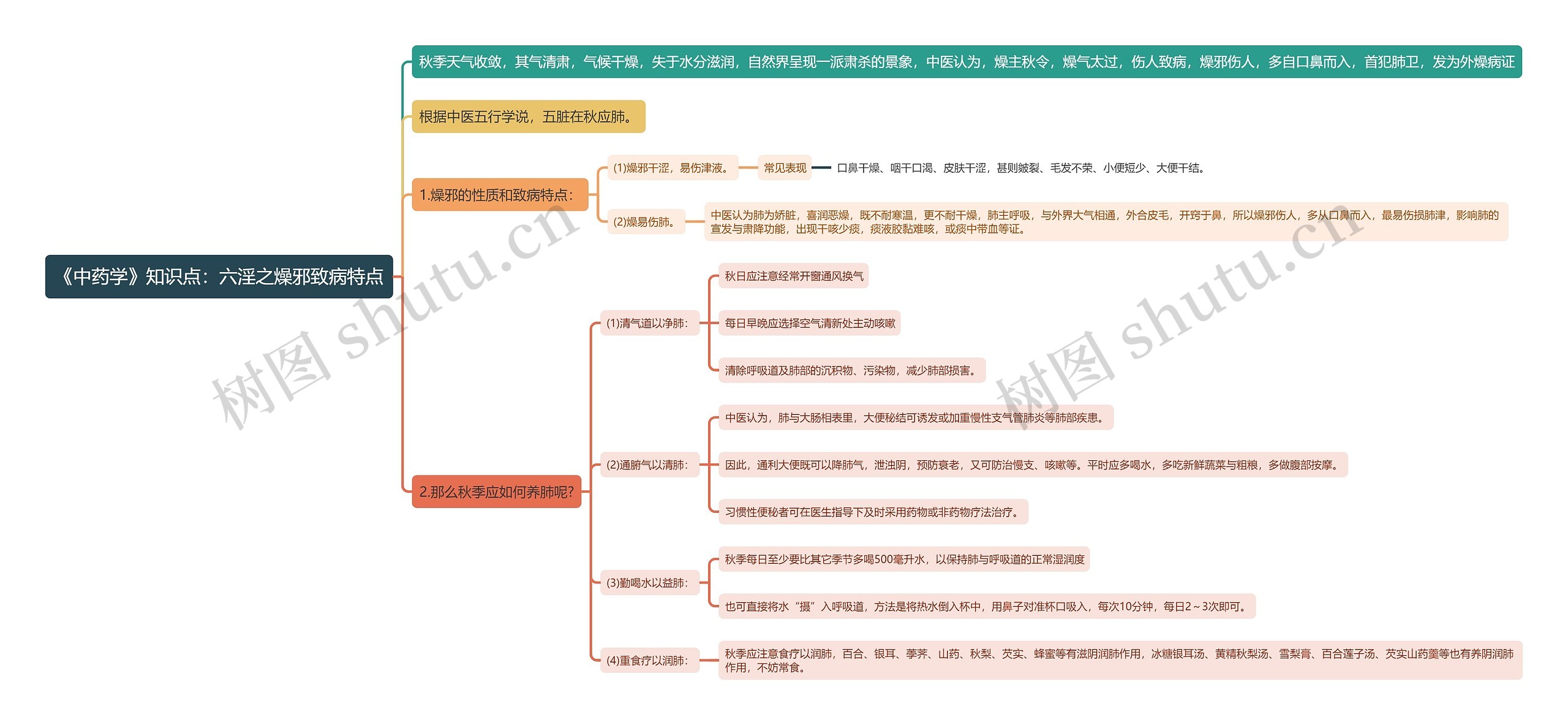 《中药学》知识点：六淫之燥邪致病特点思维导图