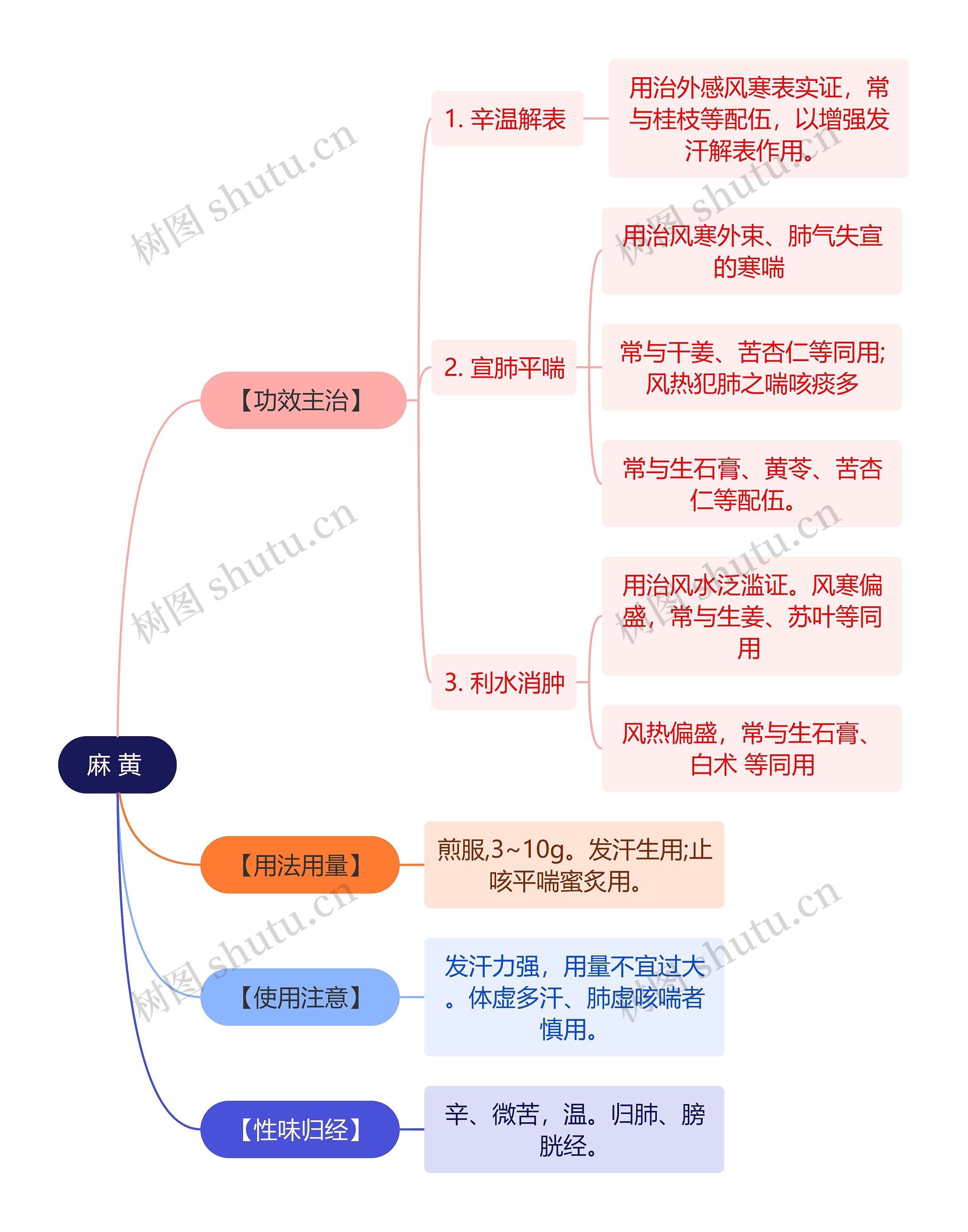 中医知识麻黄思维导图