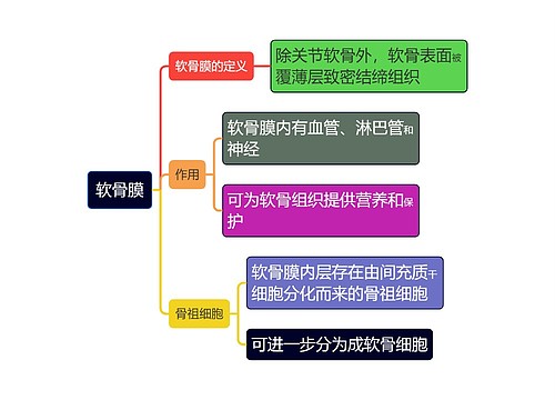 医学知识软骨膜思维导图