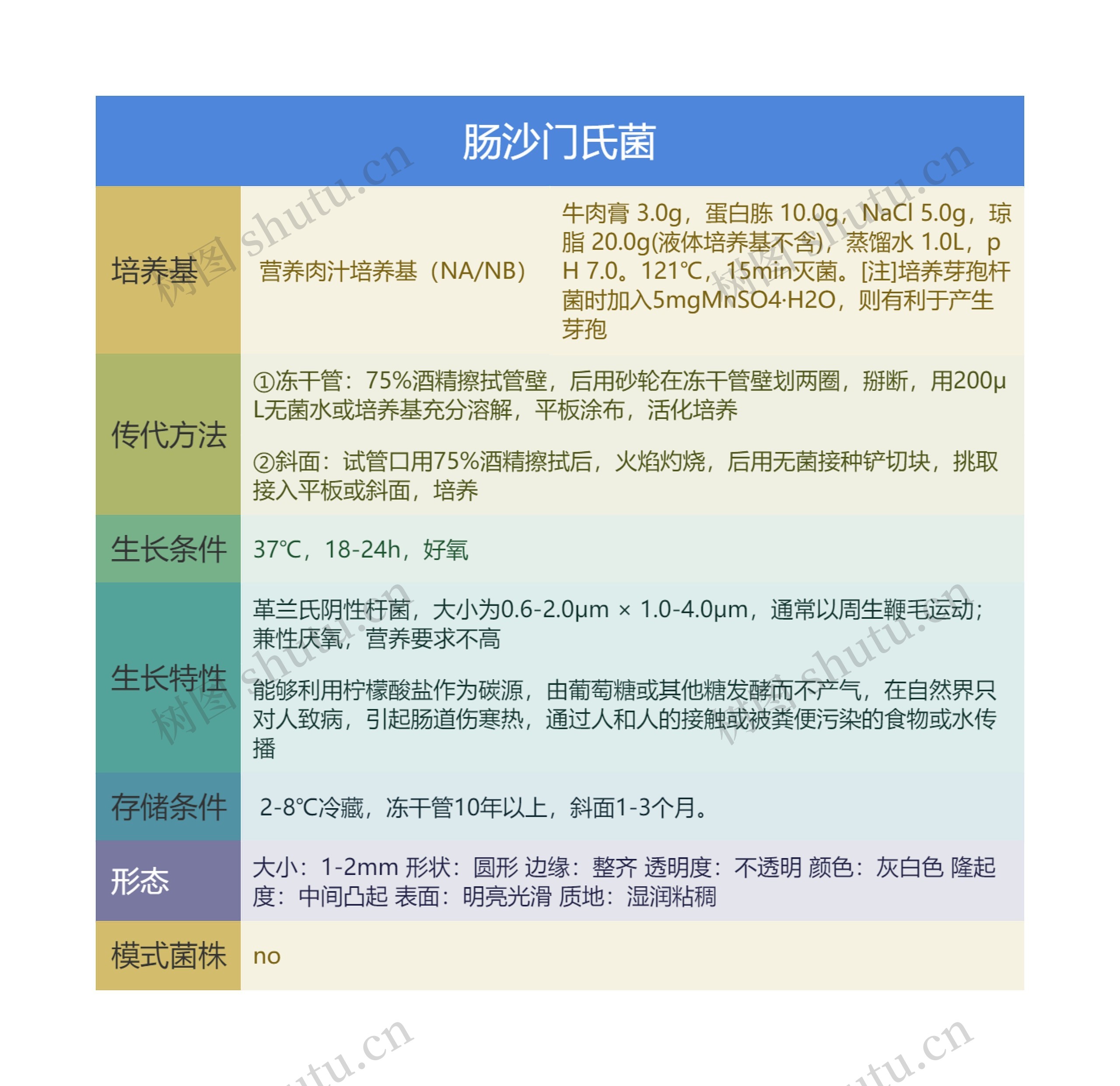 肠沙门氏菌思维导图