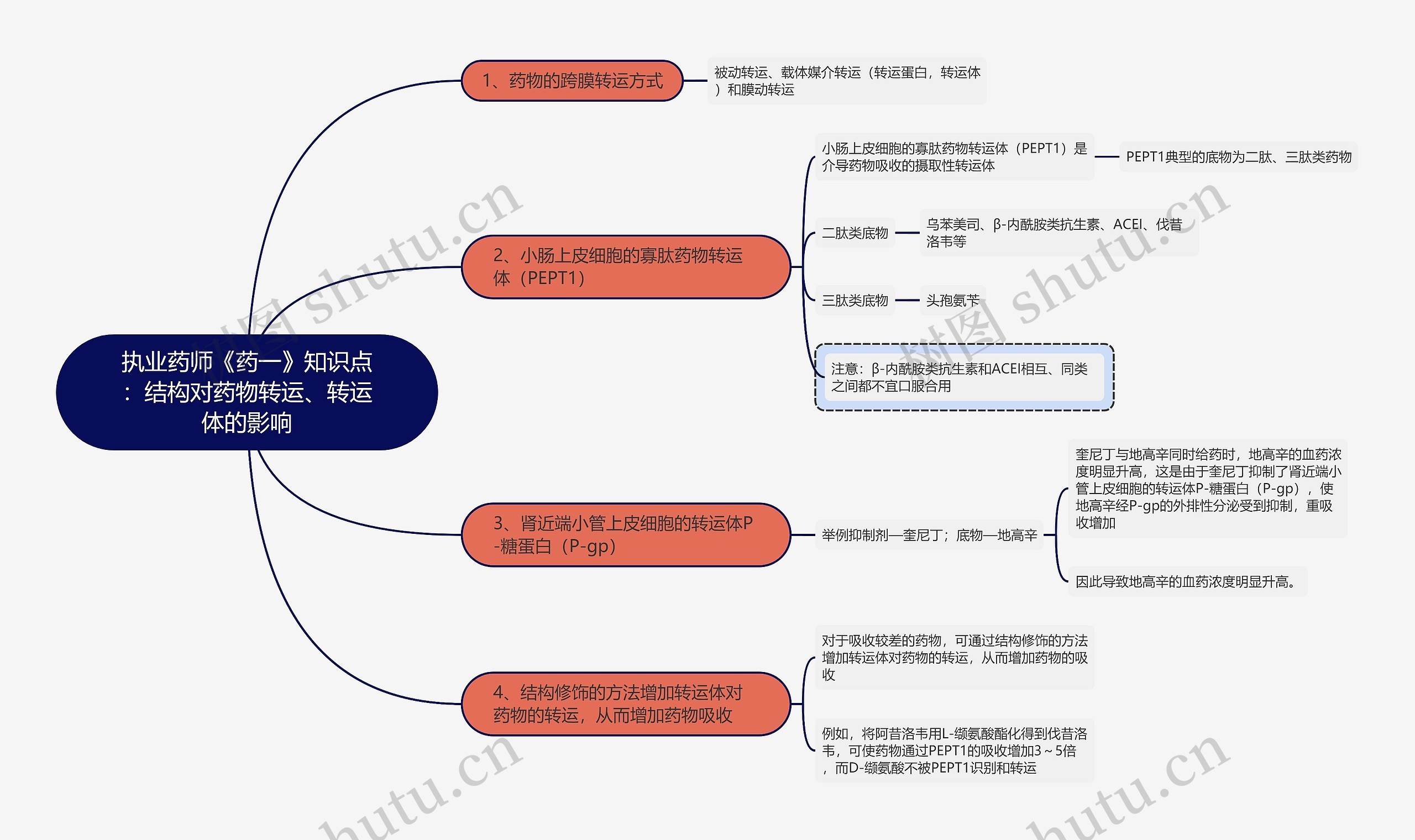 执业药师《药一》知识点：结构对药物转运、转运体的影响