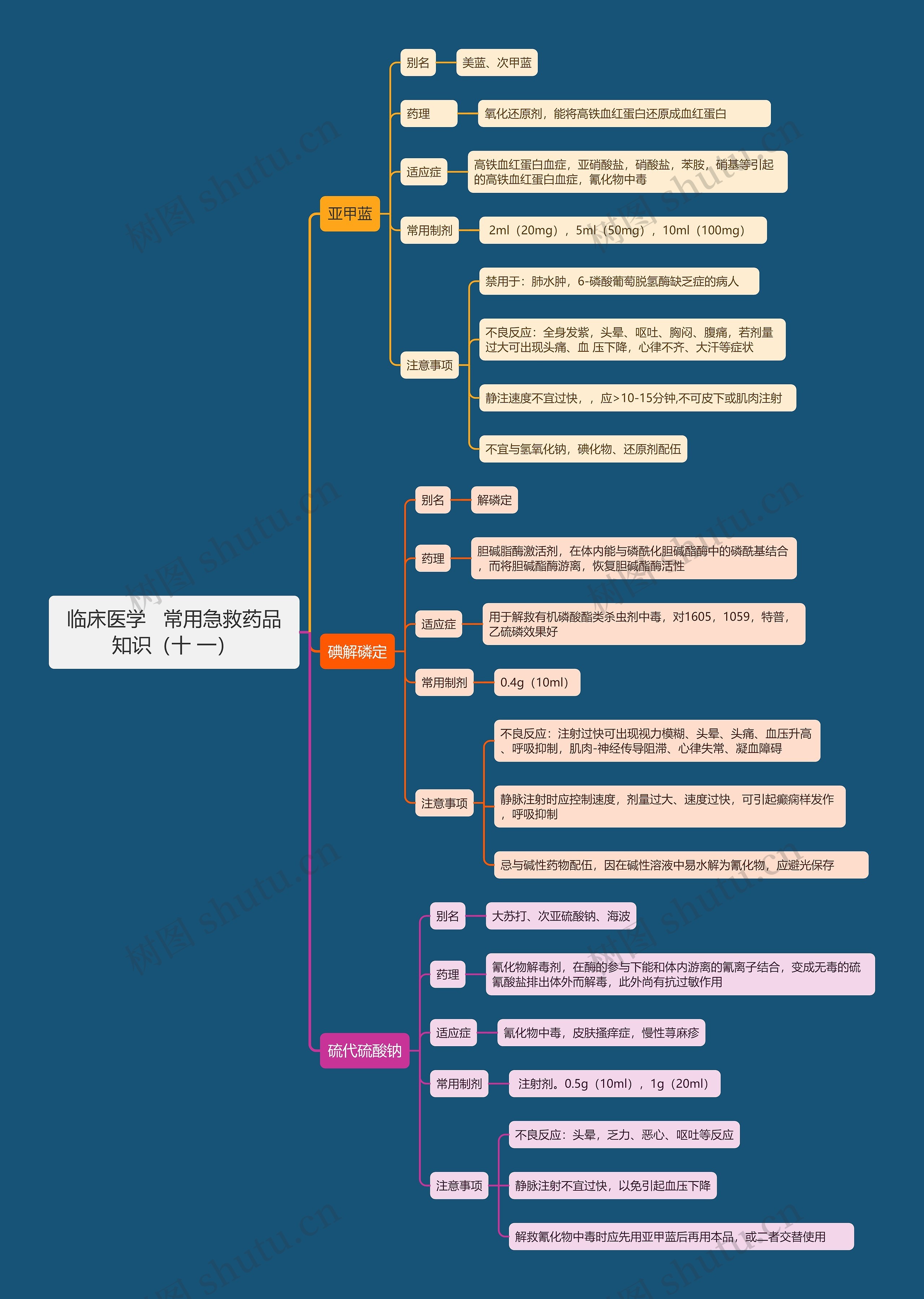 临床医学   常用急救药品知识（十 一）思维导图