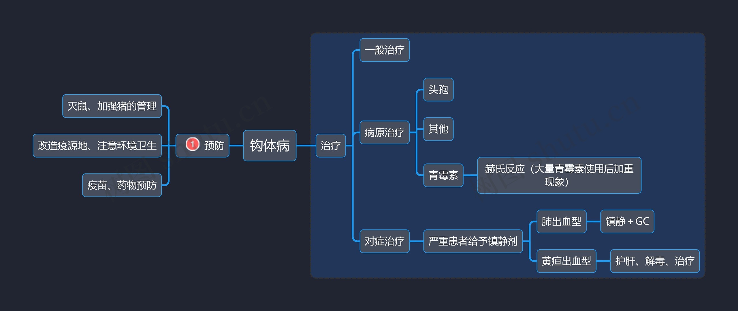 医学知识钩体病治疗思维导图