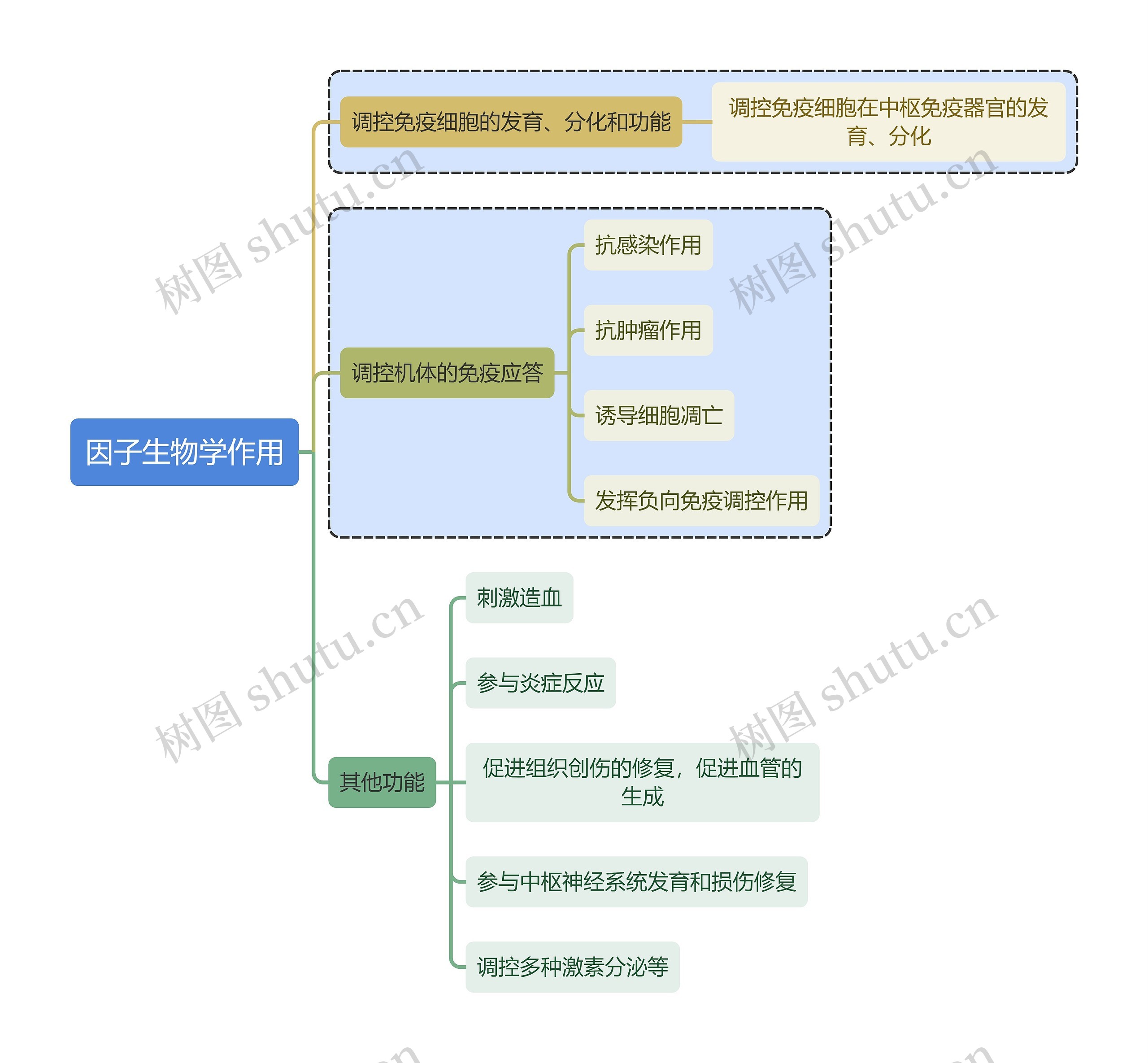 医学知识因子生物学作用思维导图