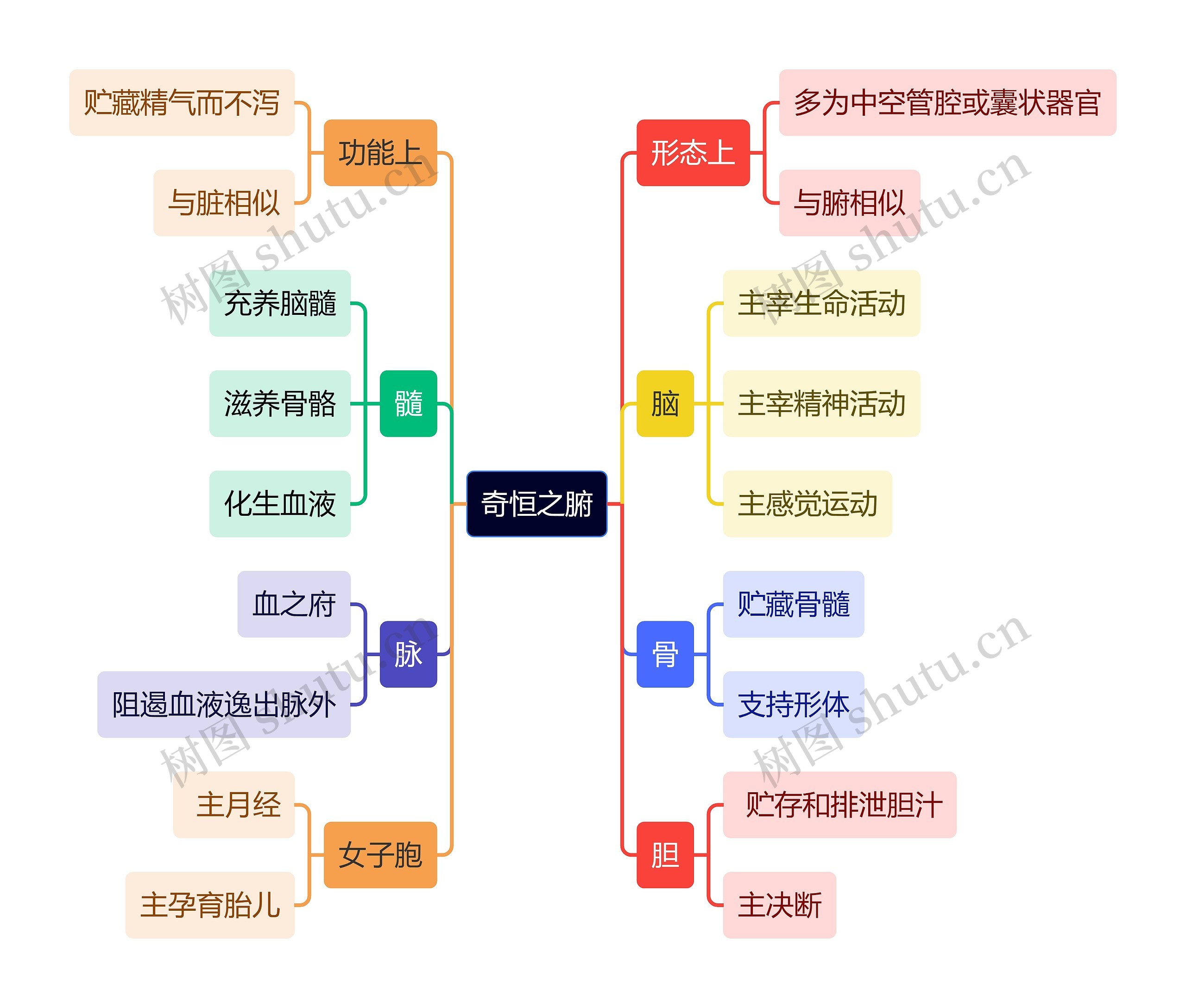 中医知识奇恒之腑思维导图