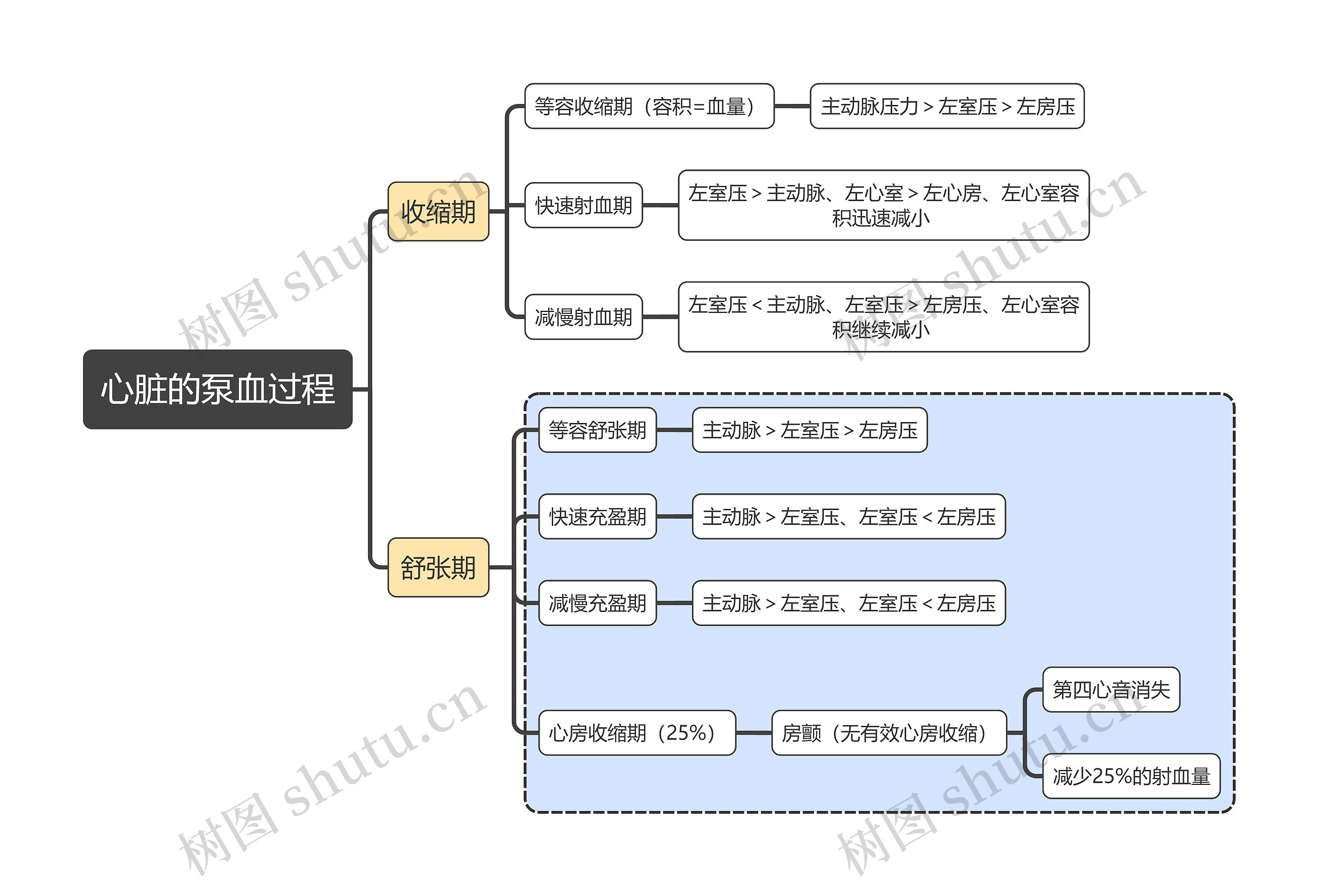 医学知识心脏的泵血过程思维导图