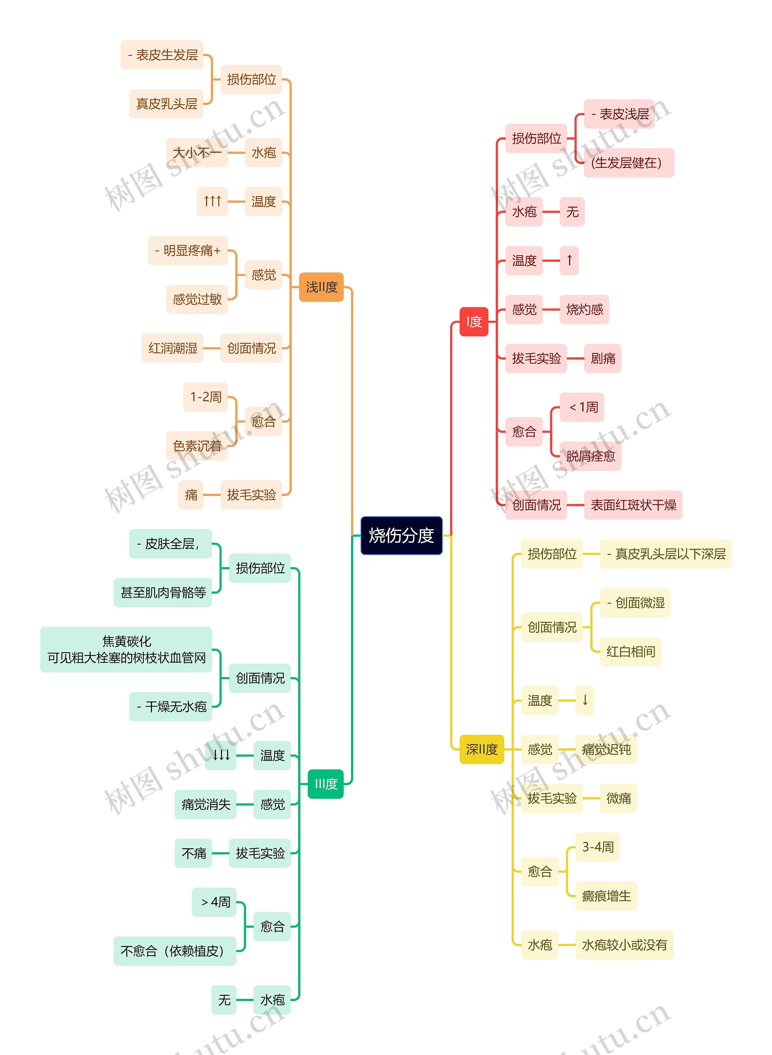 医学知识烧伤分度思维导图