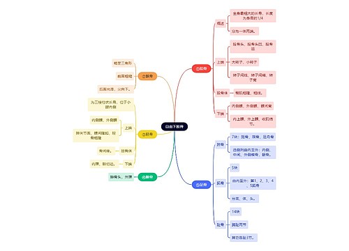 解剖学知识自由下肢骨思维导图