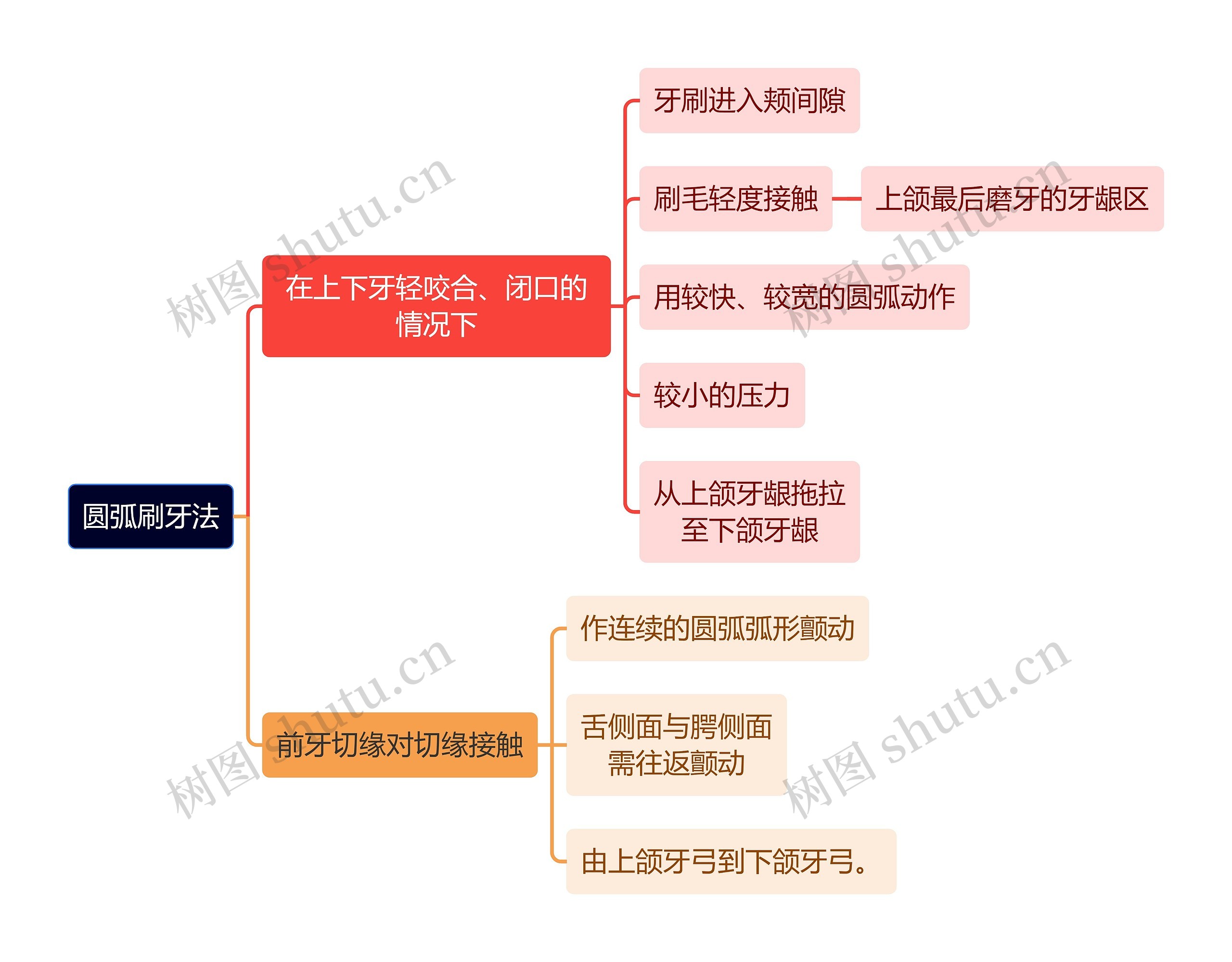 医学知识圆弧刷牙法思维导图