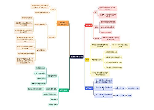 医学知识能量的来源与利用思维导图