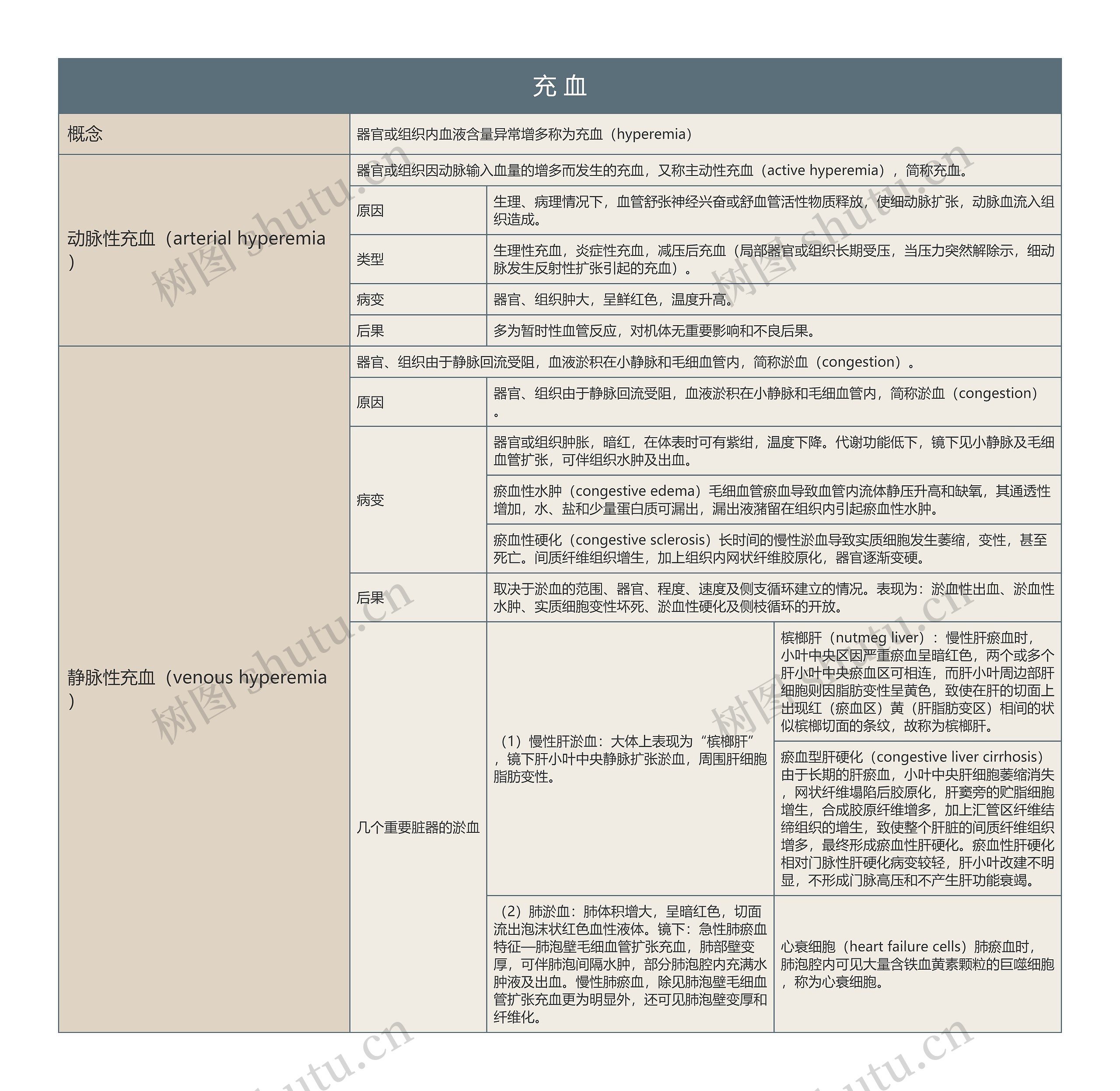 充血的思维导图