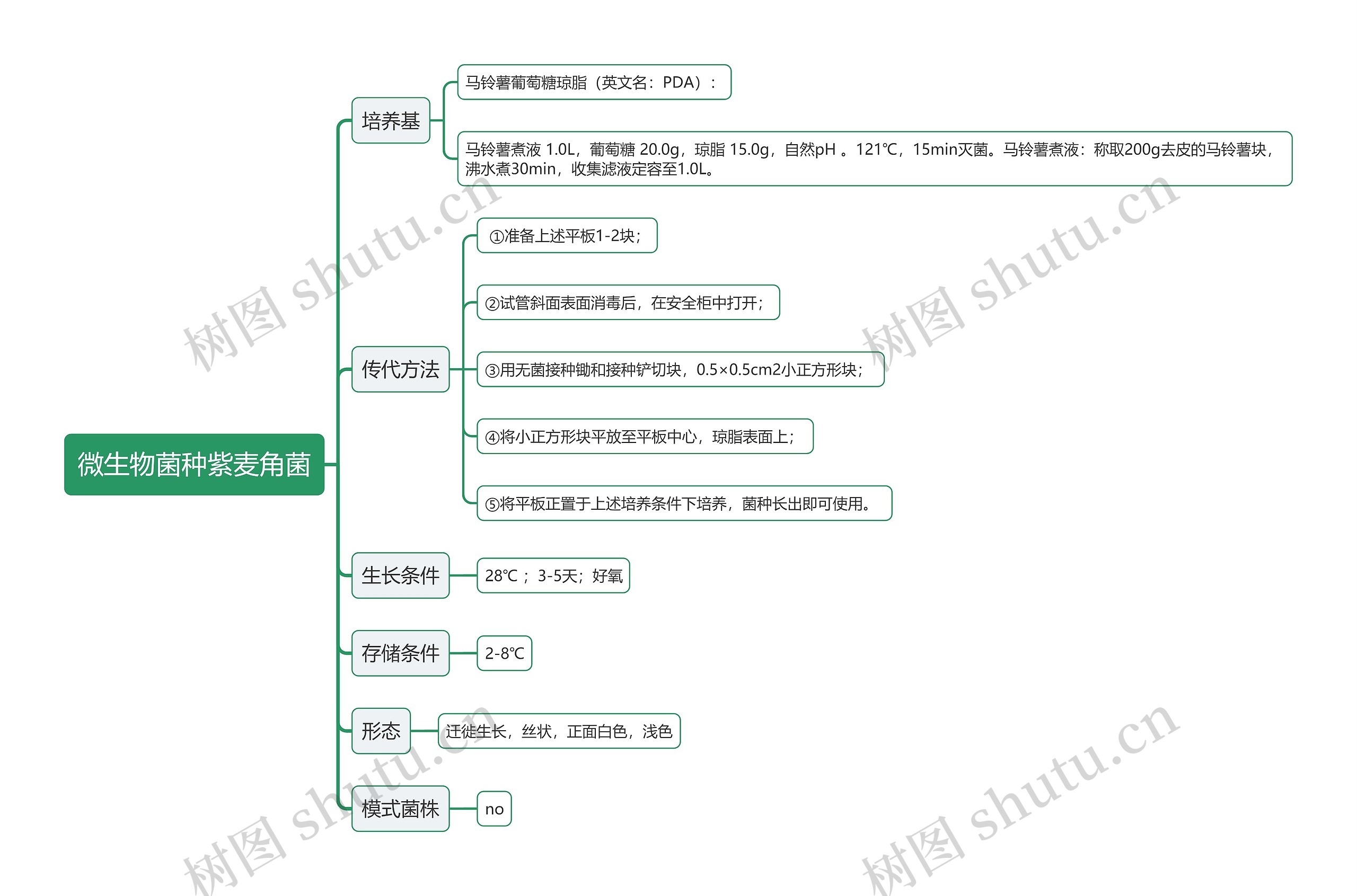 微生物菌种紫麦角菌思维导图