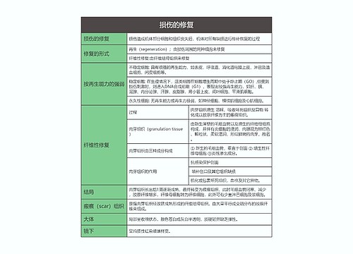 病理学  损伤的修复思维导图