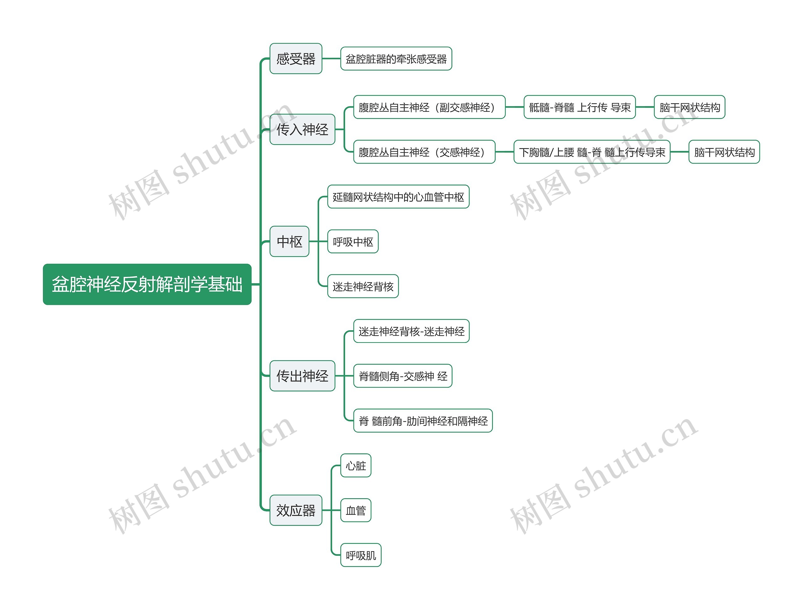 医学盆腔神经反射解剖学基础思维导图