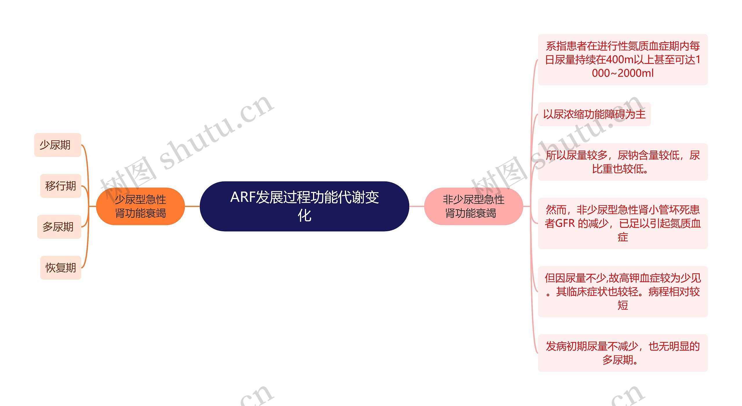 医学知识ARF发展过程功能代谢变化思维导图