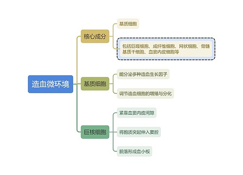 医学知识造血微环境思维导图