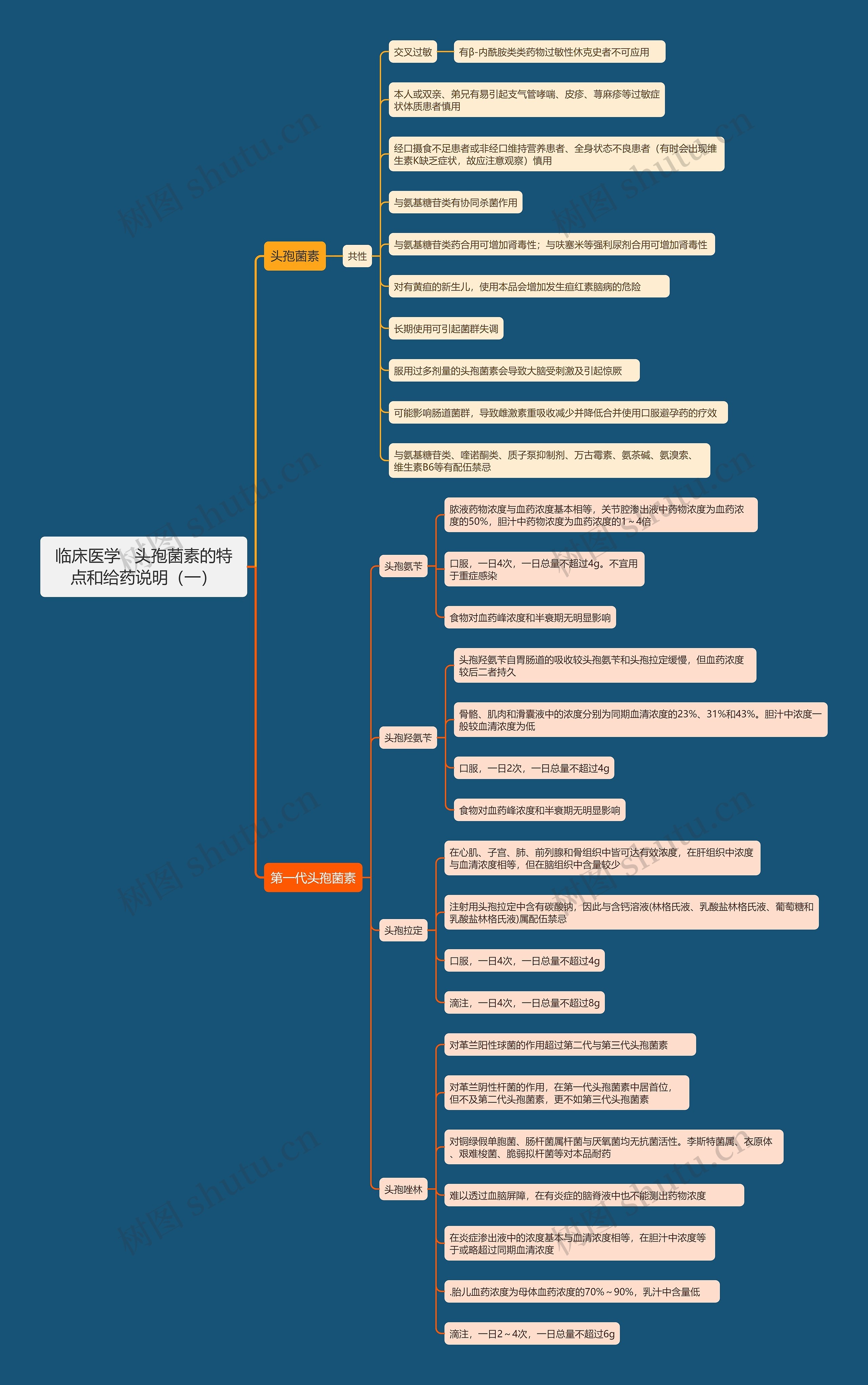 临床医学   头孢菌素的特点和给药说明（一）思维导图