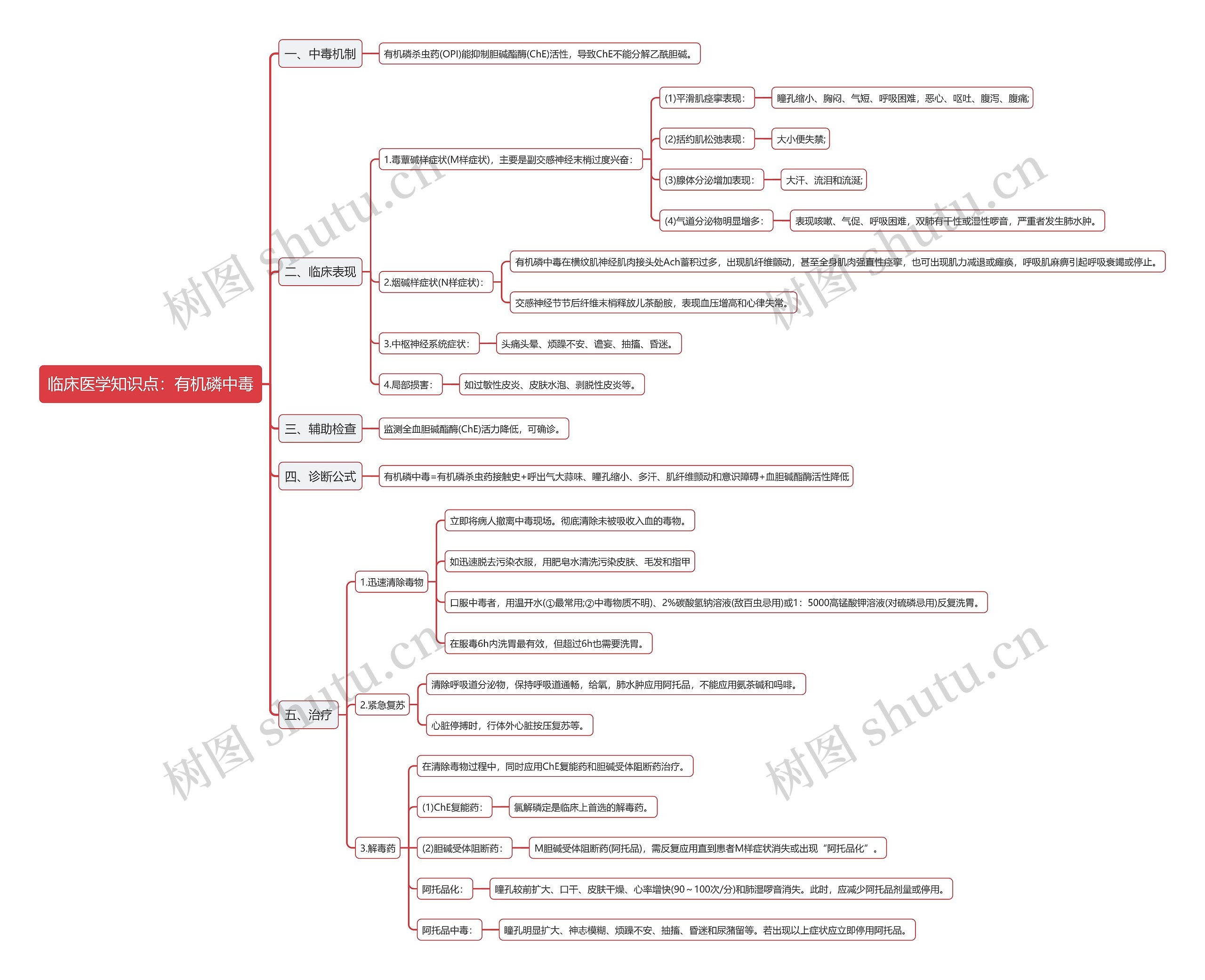 临床医学知识点：有机磷中毒思维导图