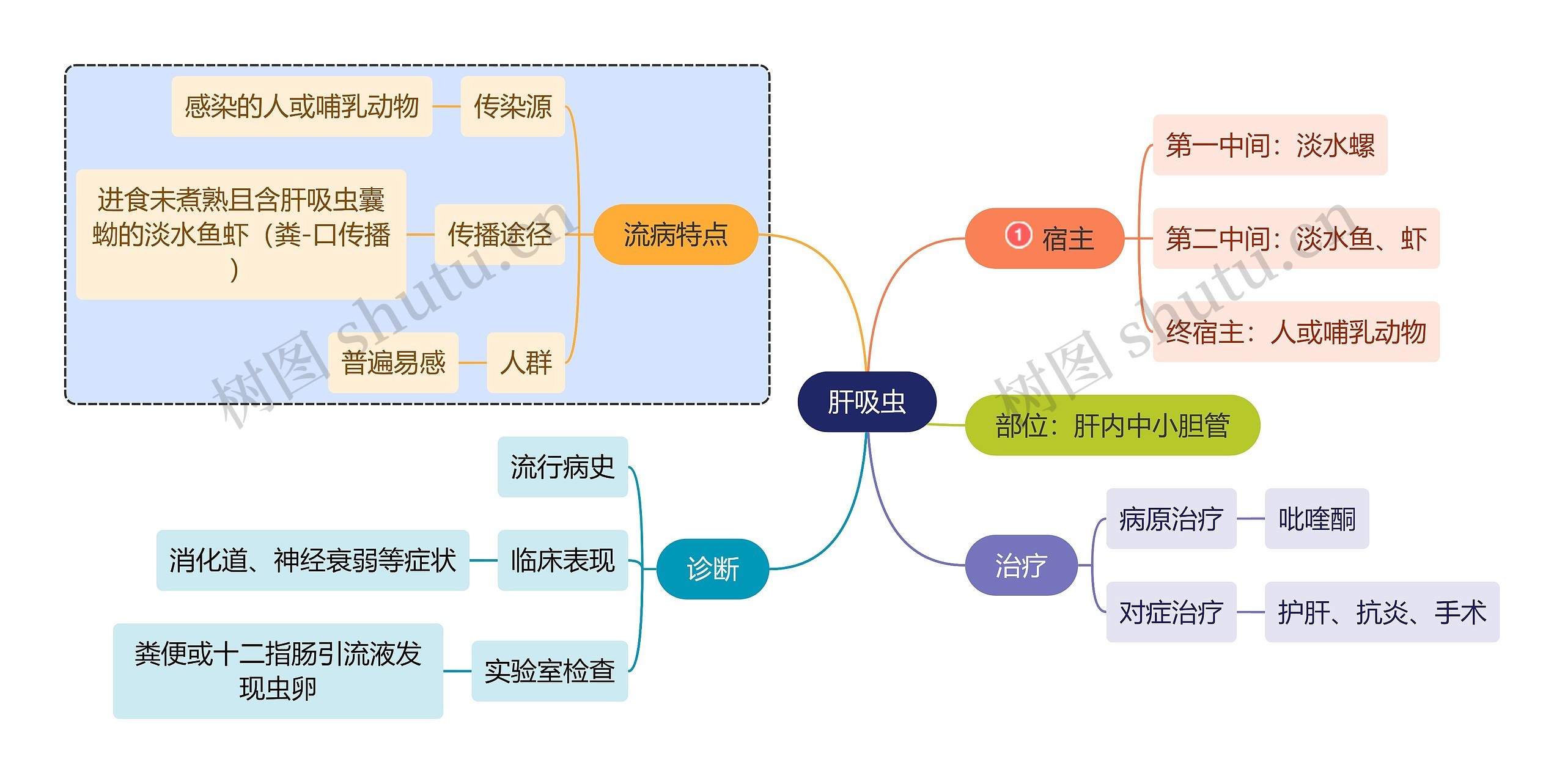 医学知识肝吸虫诊治思维导图