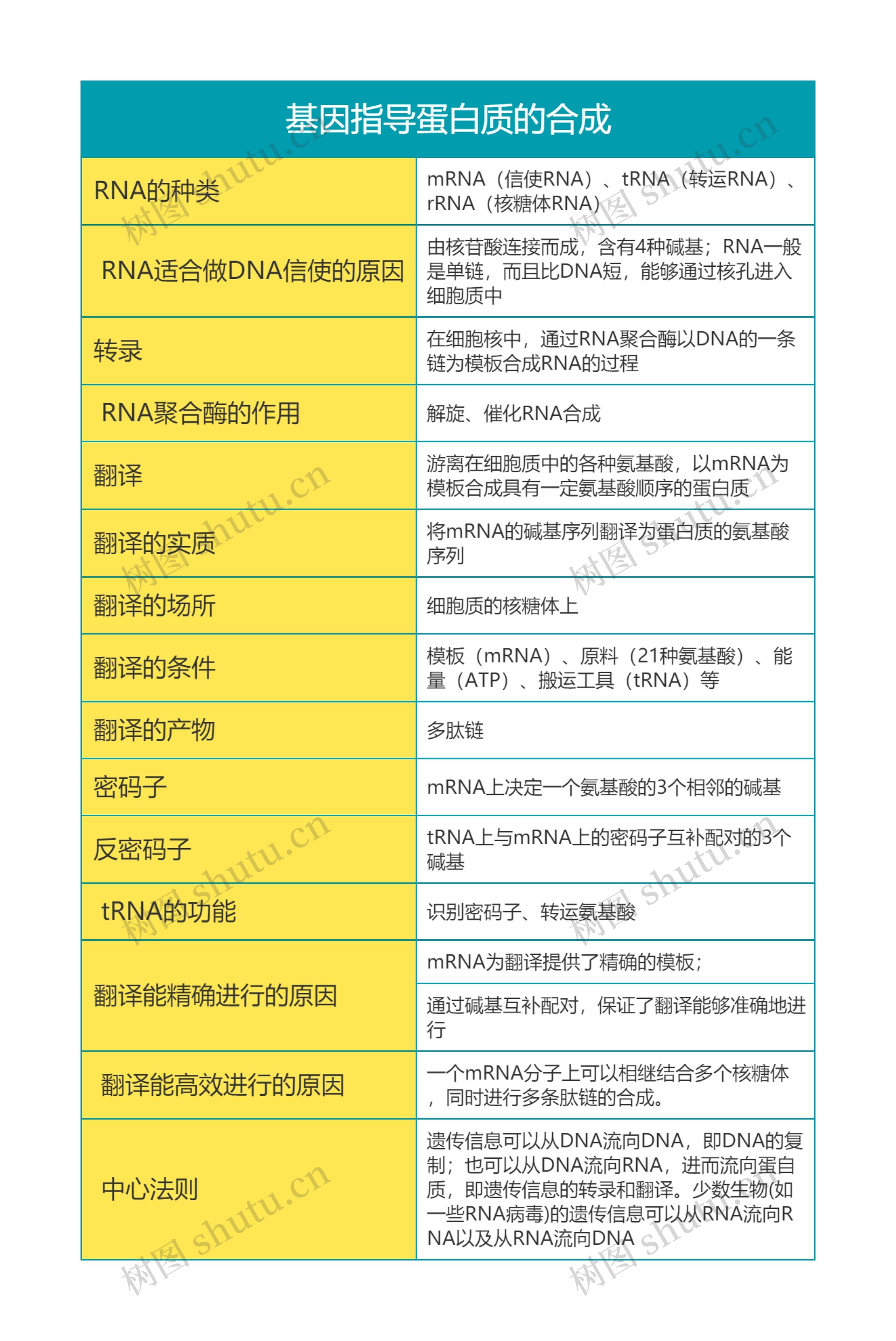 高中生物必修二第四单元基因指导蛋白质的合成思维导图