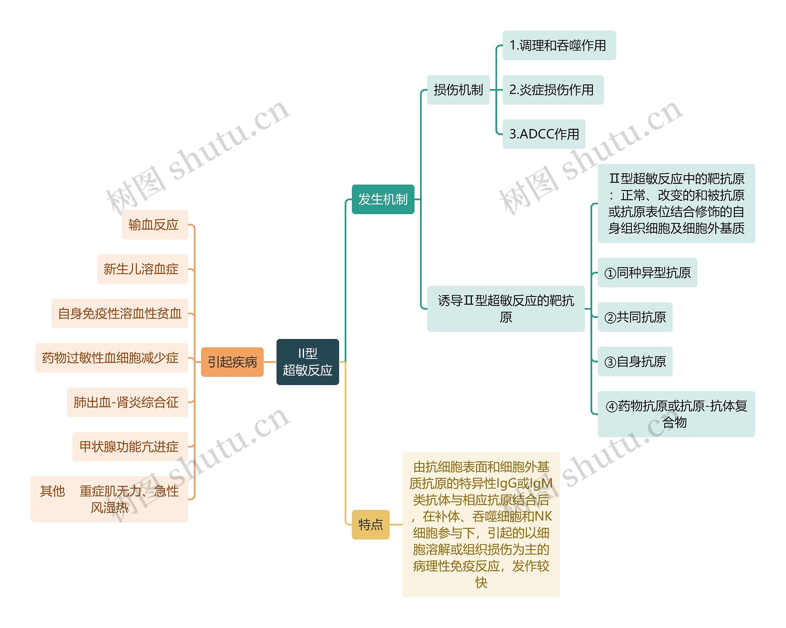 医学知识II型超敏反应思维导图