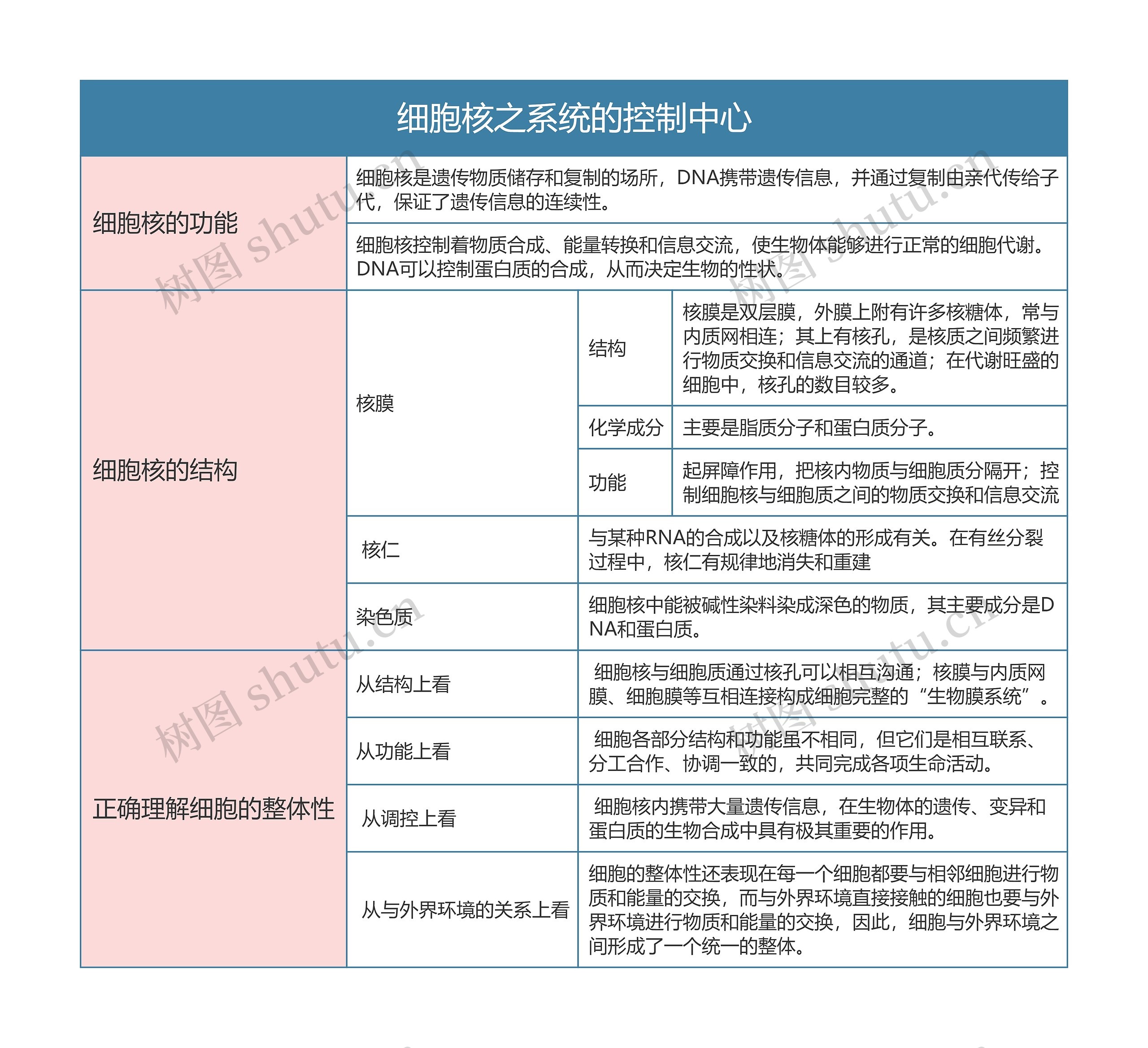 高中生物必修一细胞核之系统的控制中心思维导图