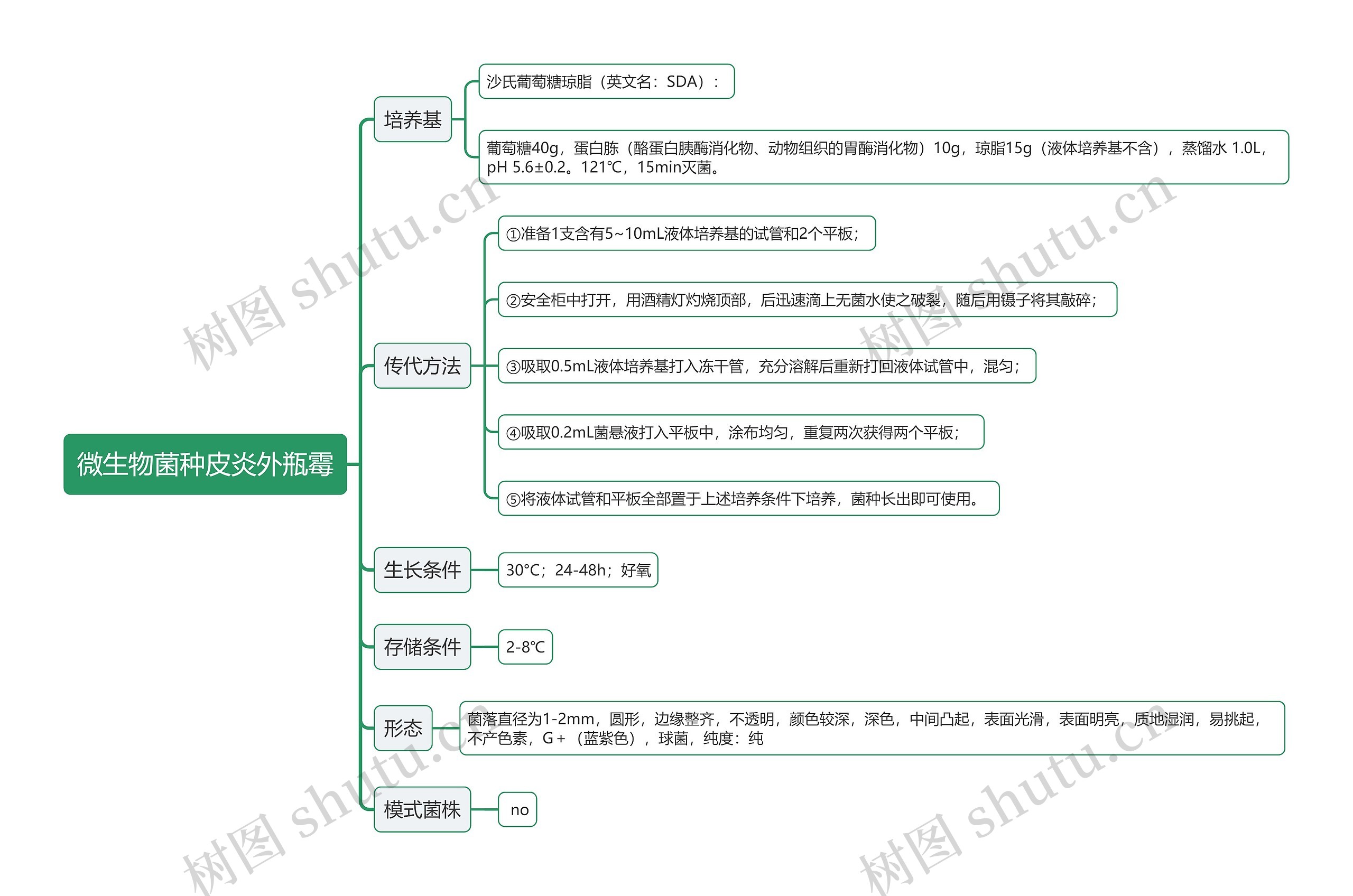 微生物菌种皮炎外瓶霉思维导图