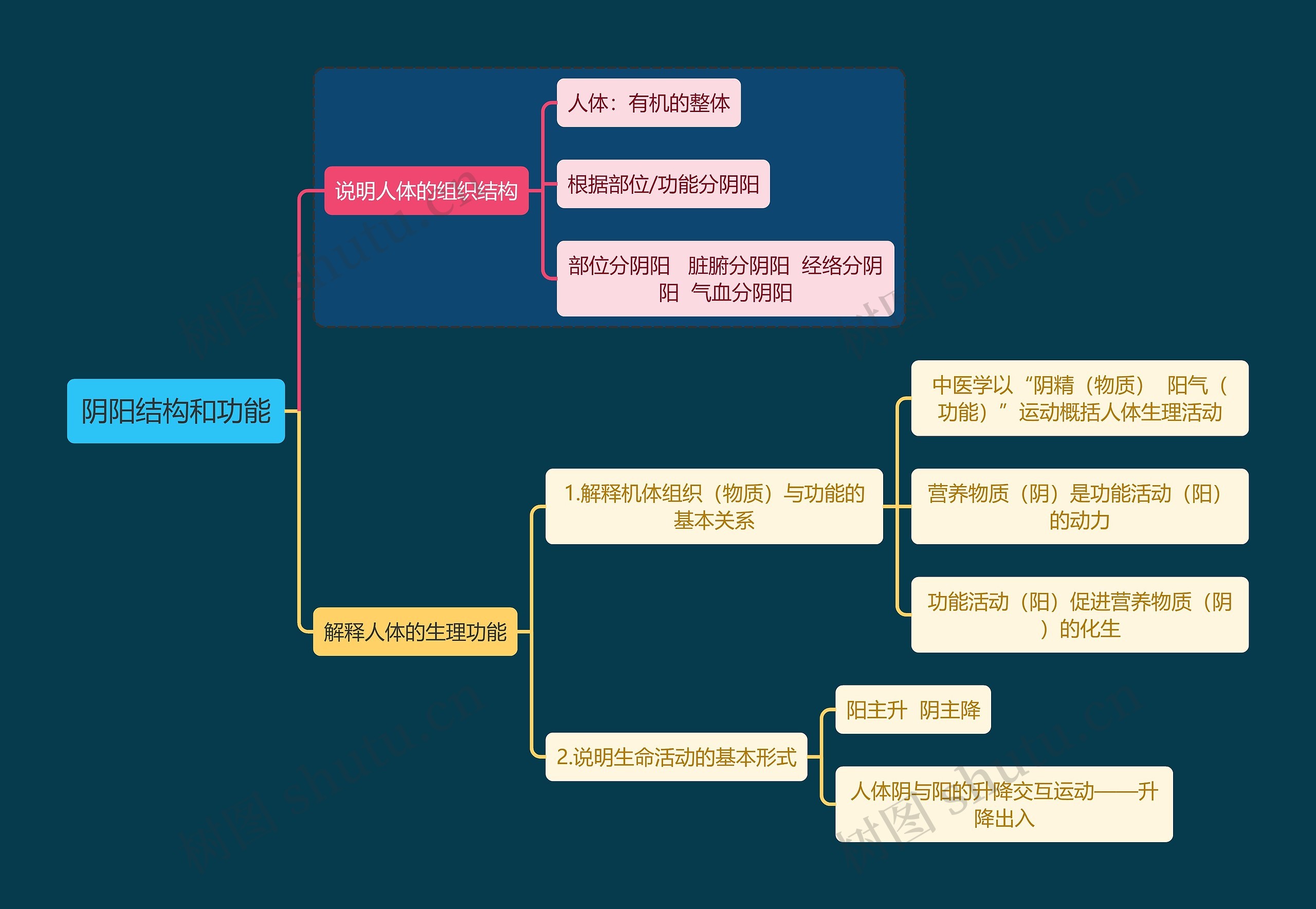 中医知识阴阳结构和功能思维导图