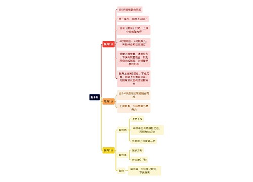 解剖学知识躯干骨思维导图