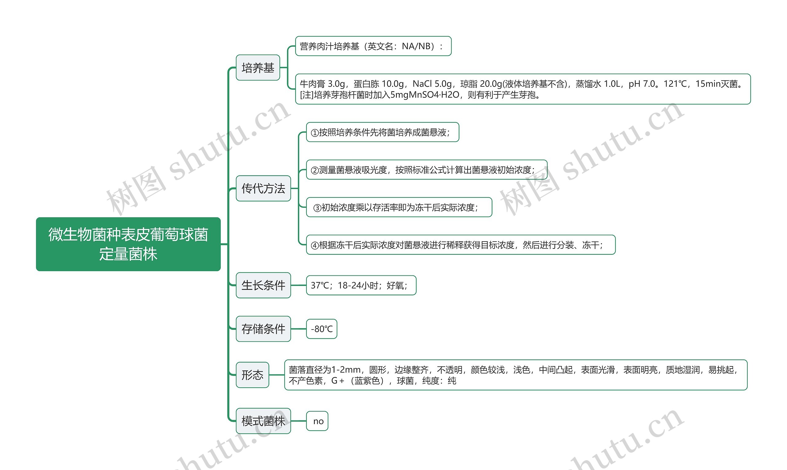 微生物菌种表皮葡萄球菌定量菌株思维导图